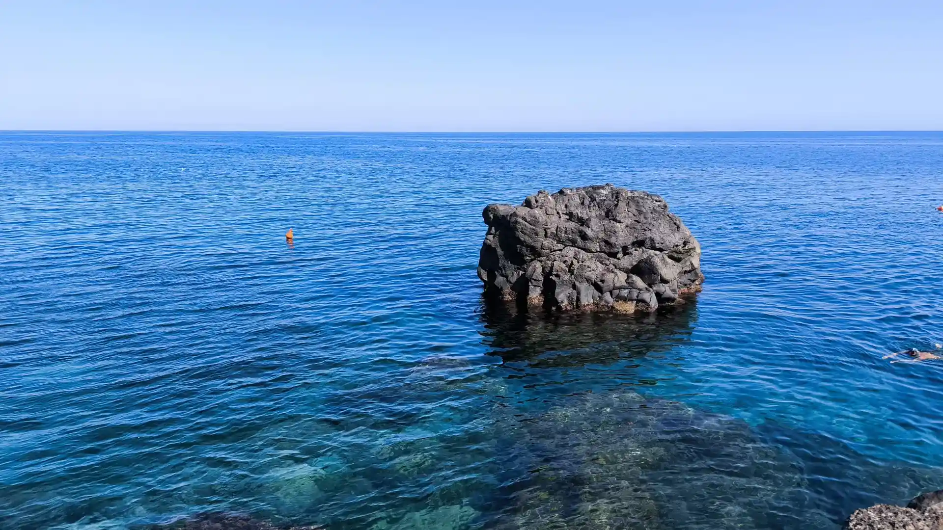 Photo de l'activité