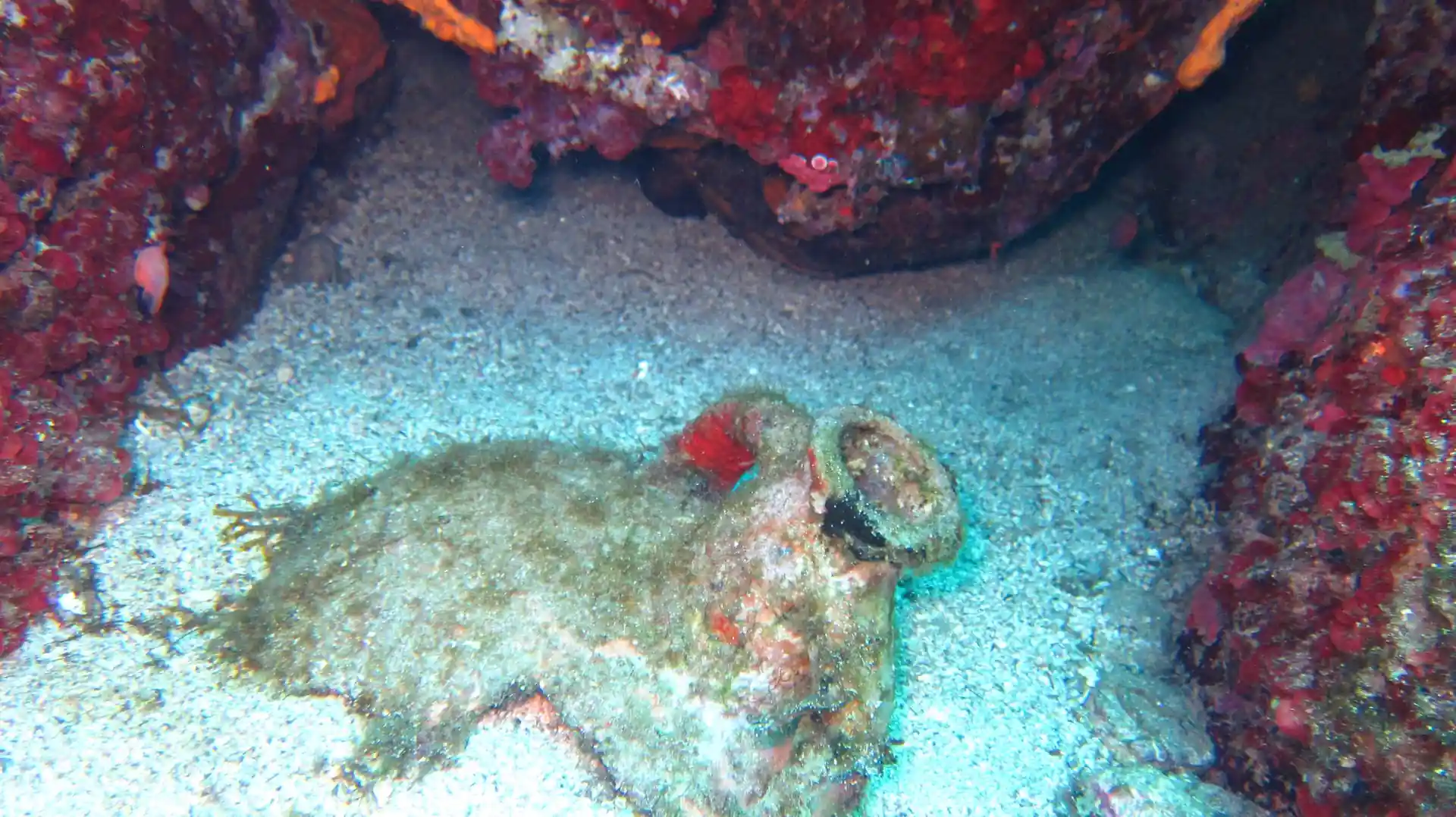 Foto del sitio de buceo