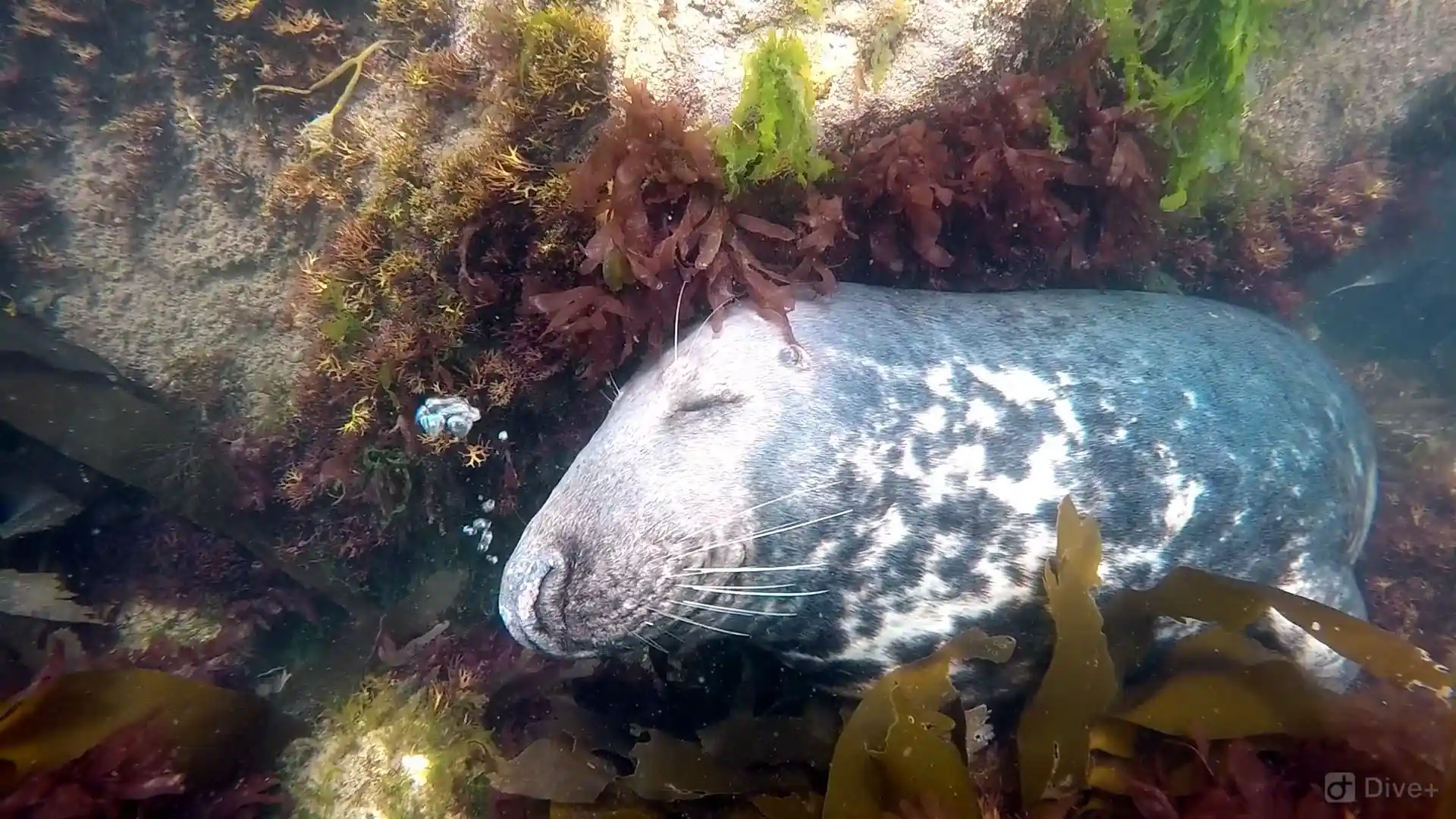 Dive site photo