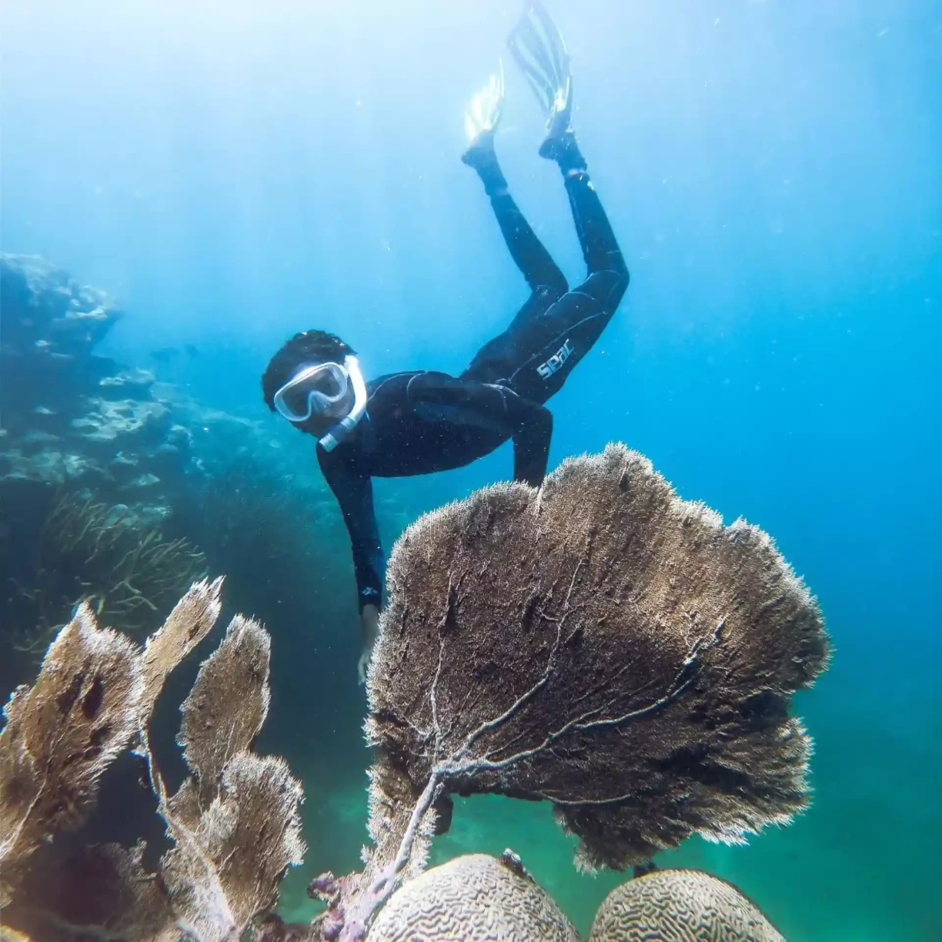 Dive shop photo