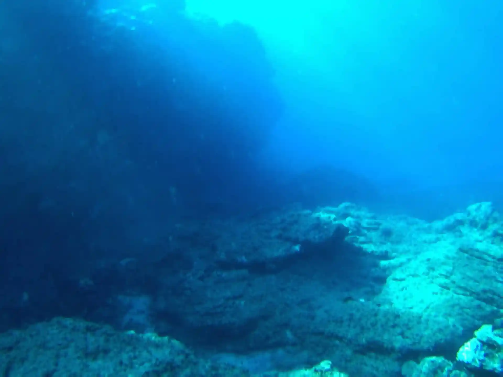 Activity photo