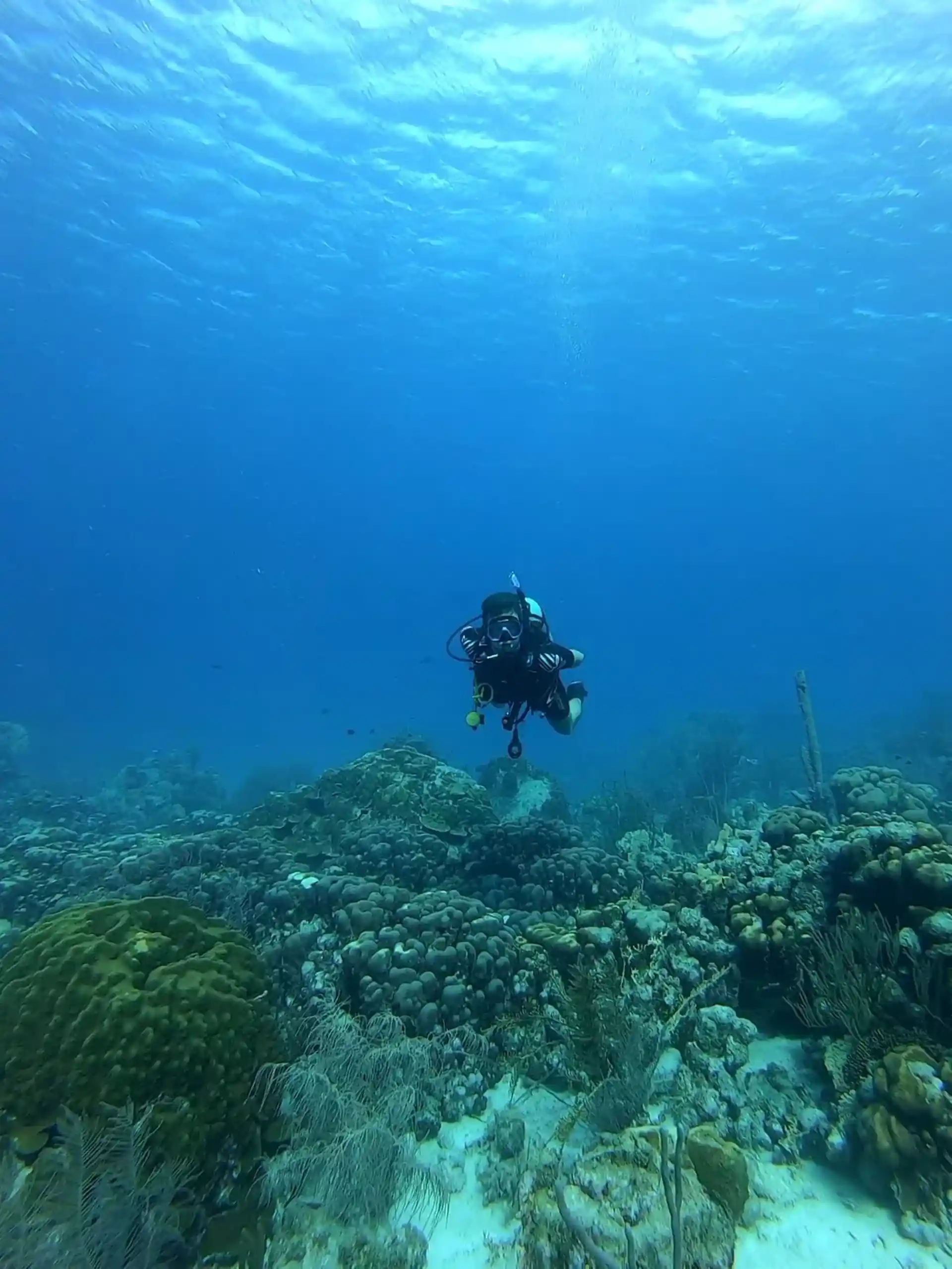 다이빙 포인트 사진