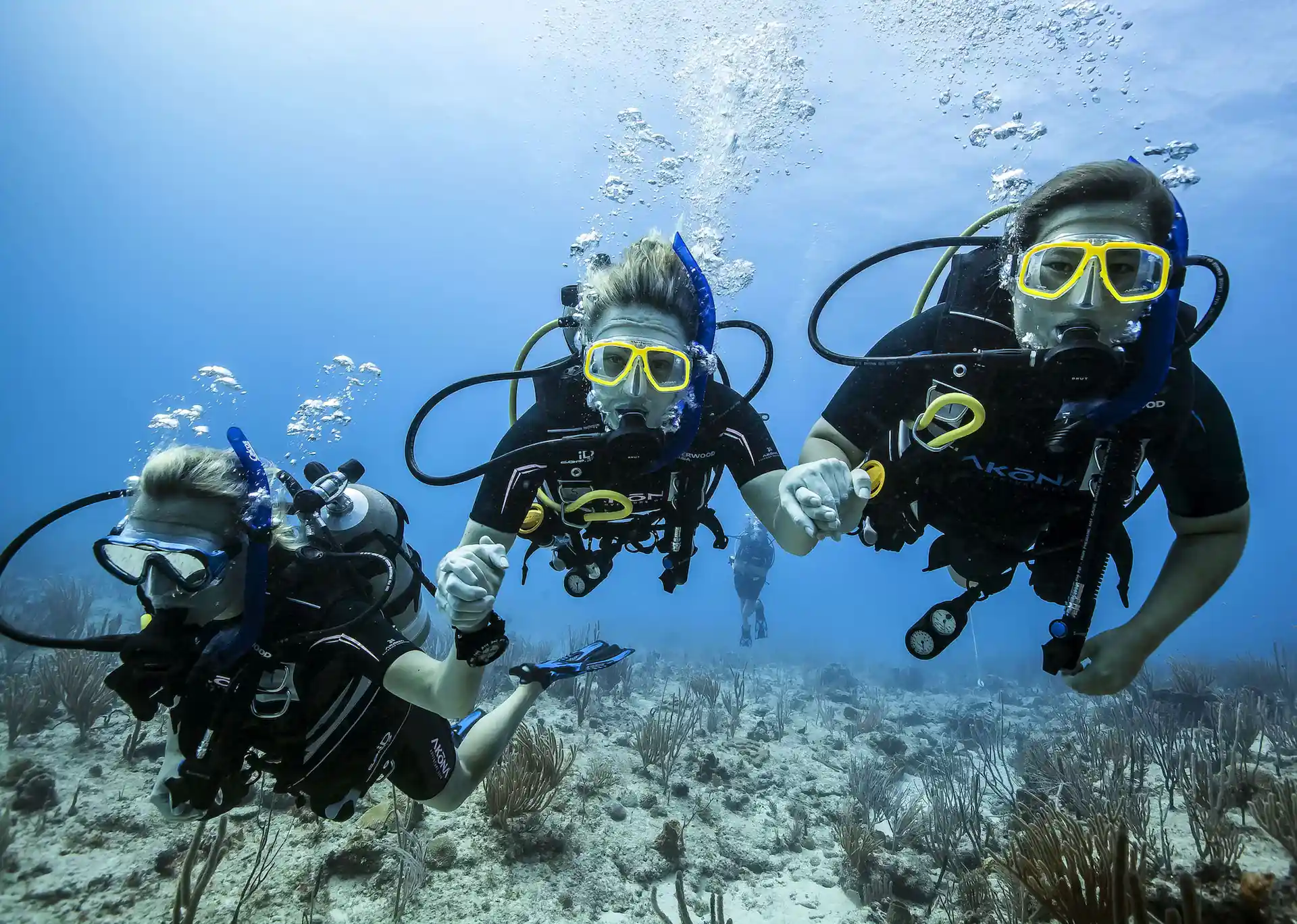 Dive with your friends!