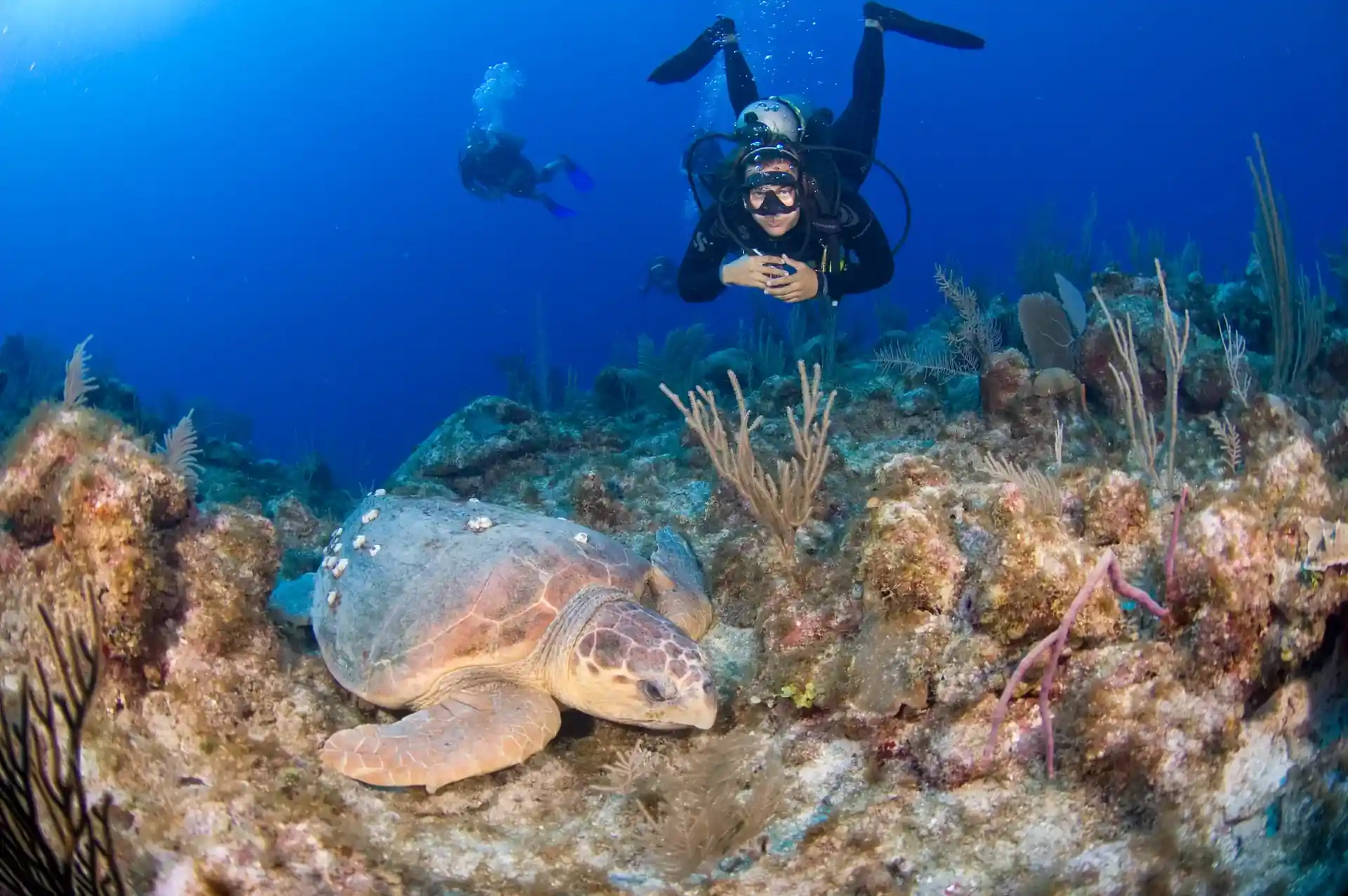 Dive site photo