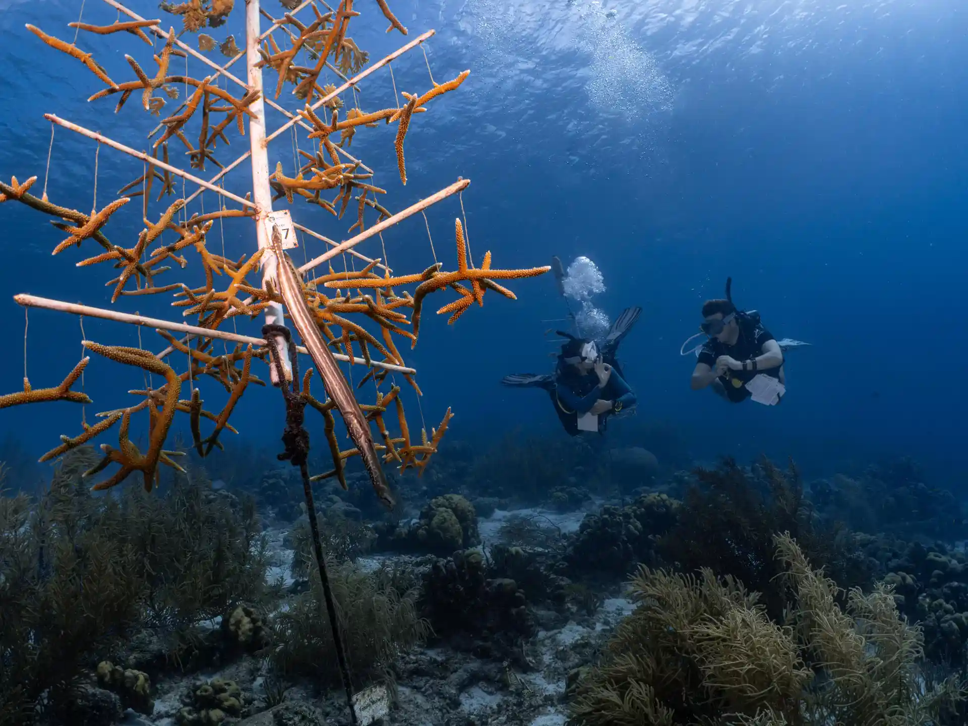 Foto de la actividad