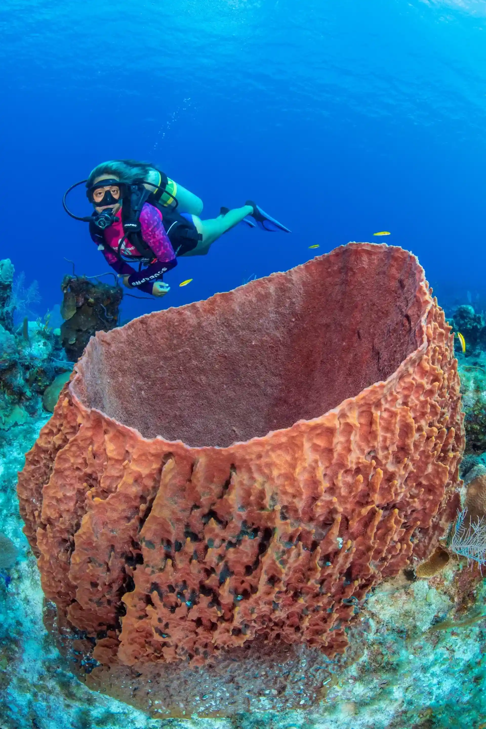 Dive site photo