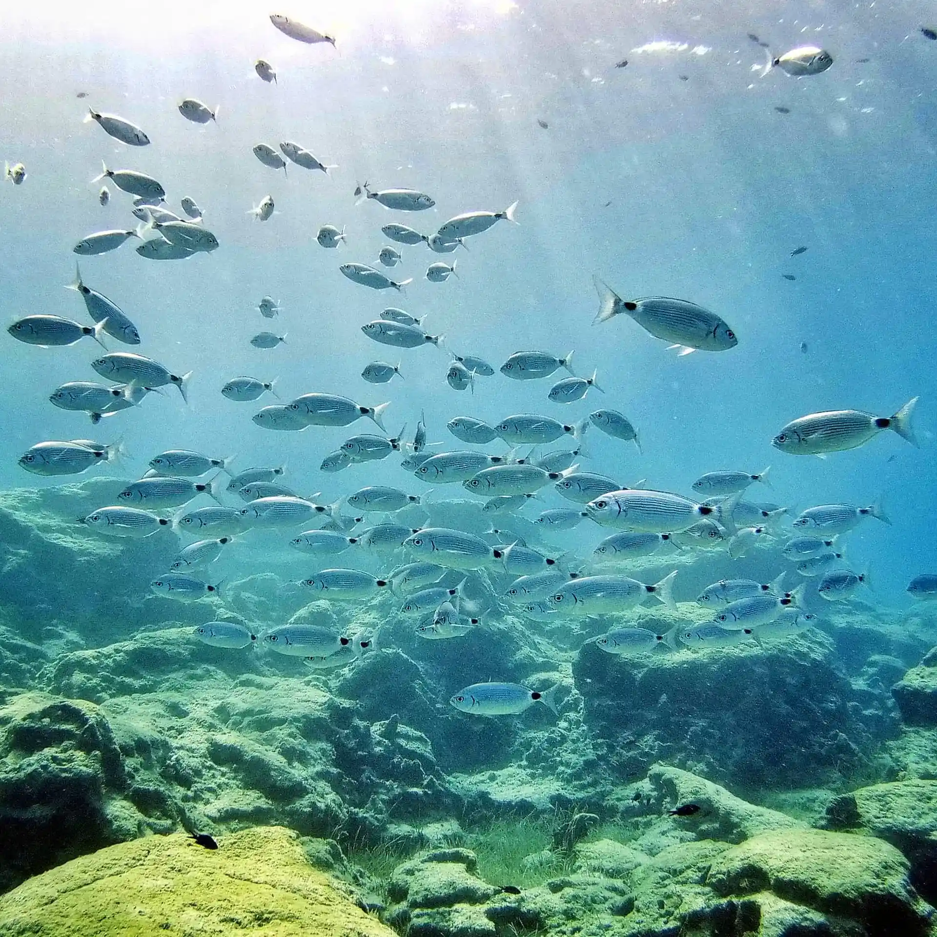 Dive shop photo
