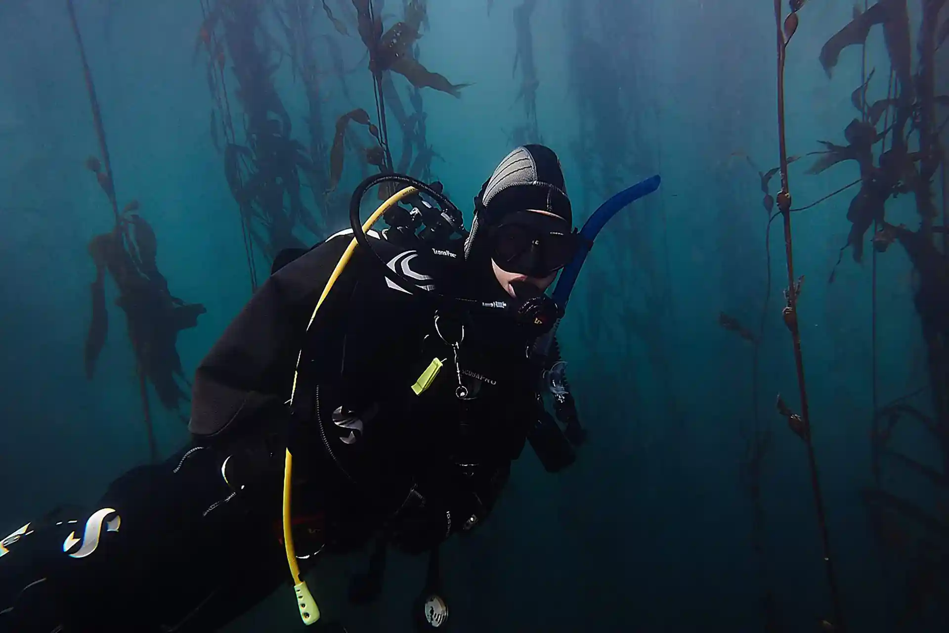 다이빙 포인트 사진