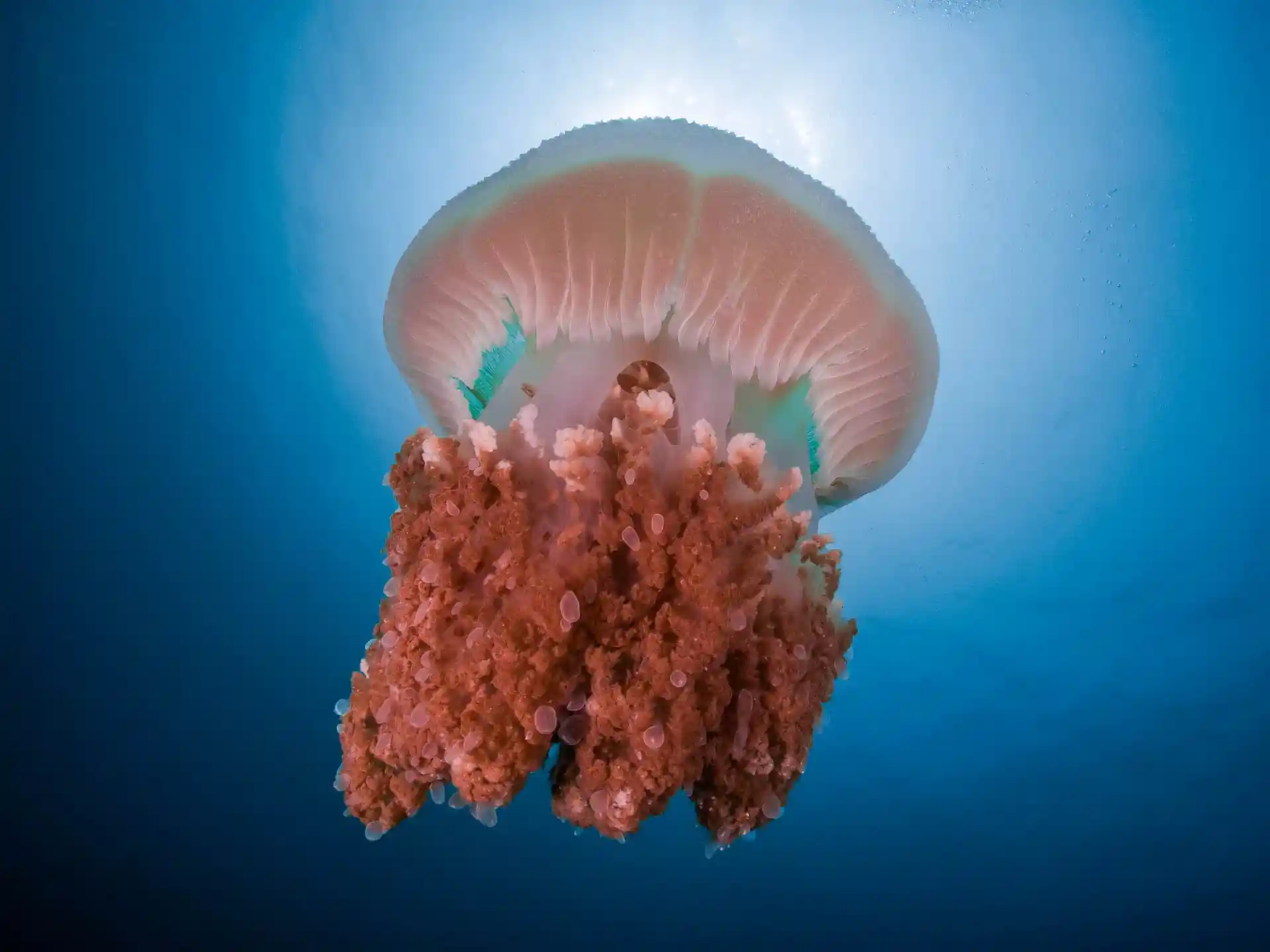 Photo de l'activité