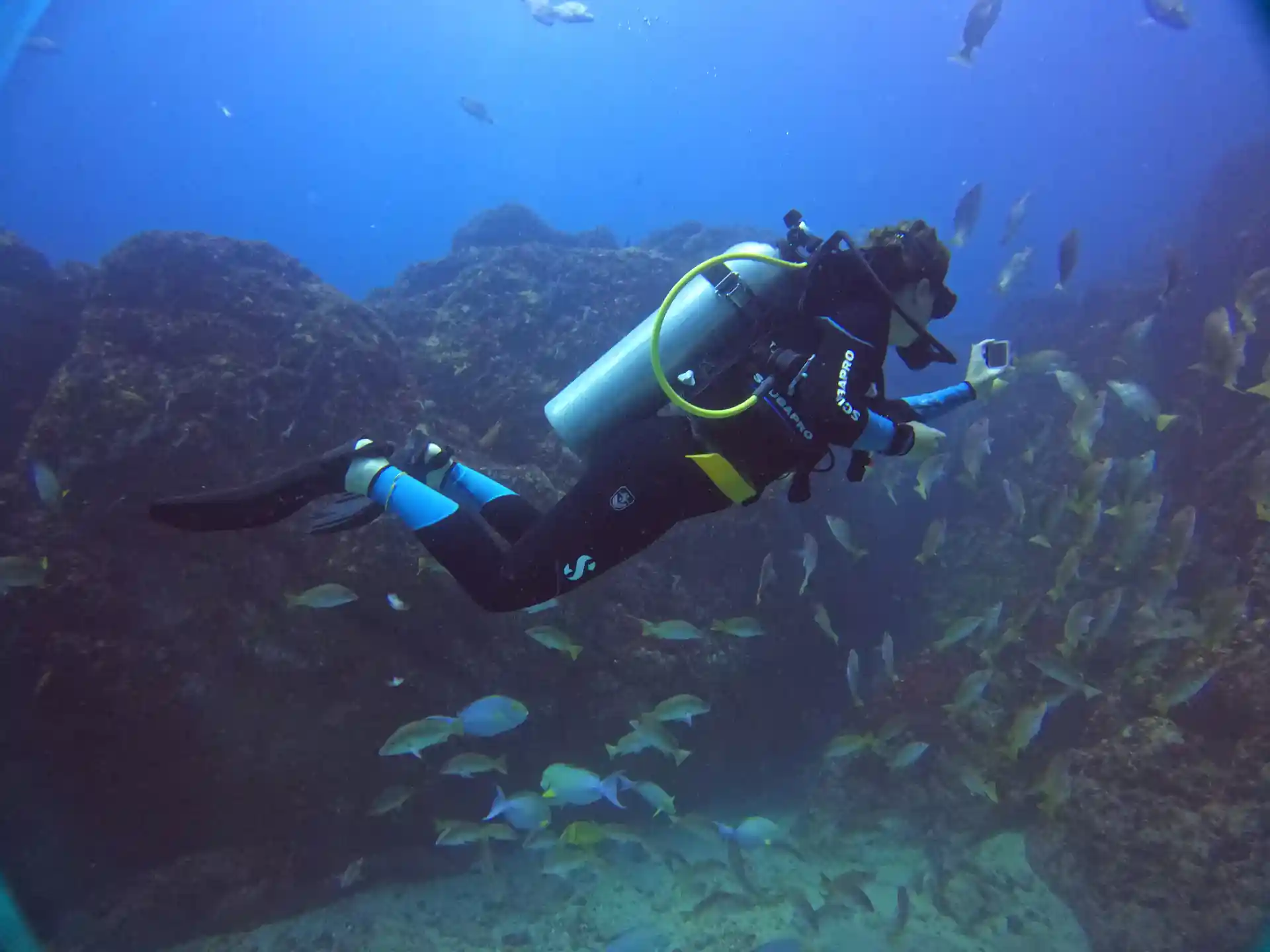Foto de la tienda de buceo
