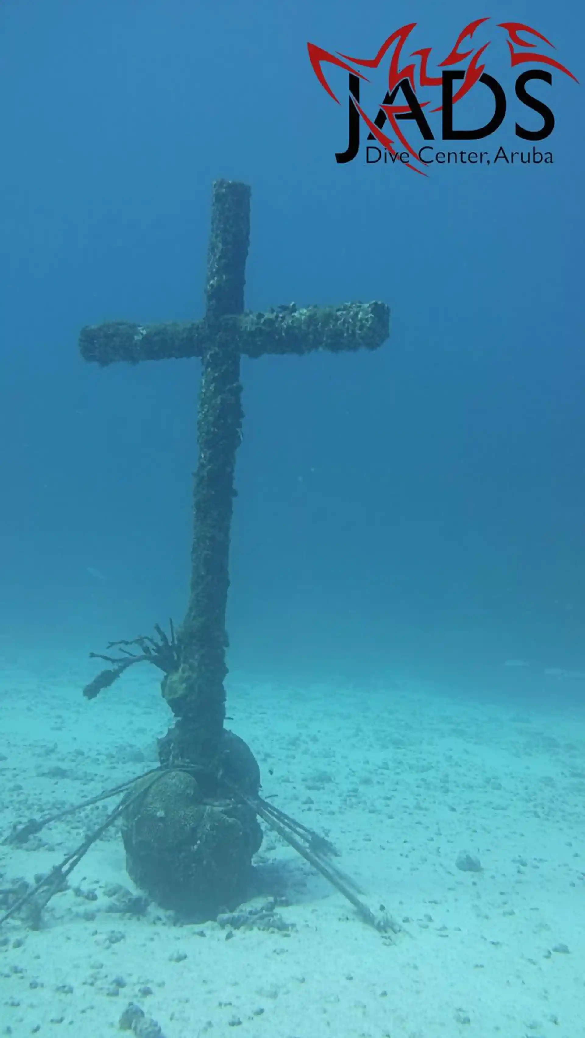 Photo du site de plongée