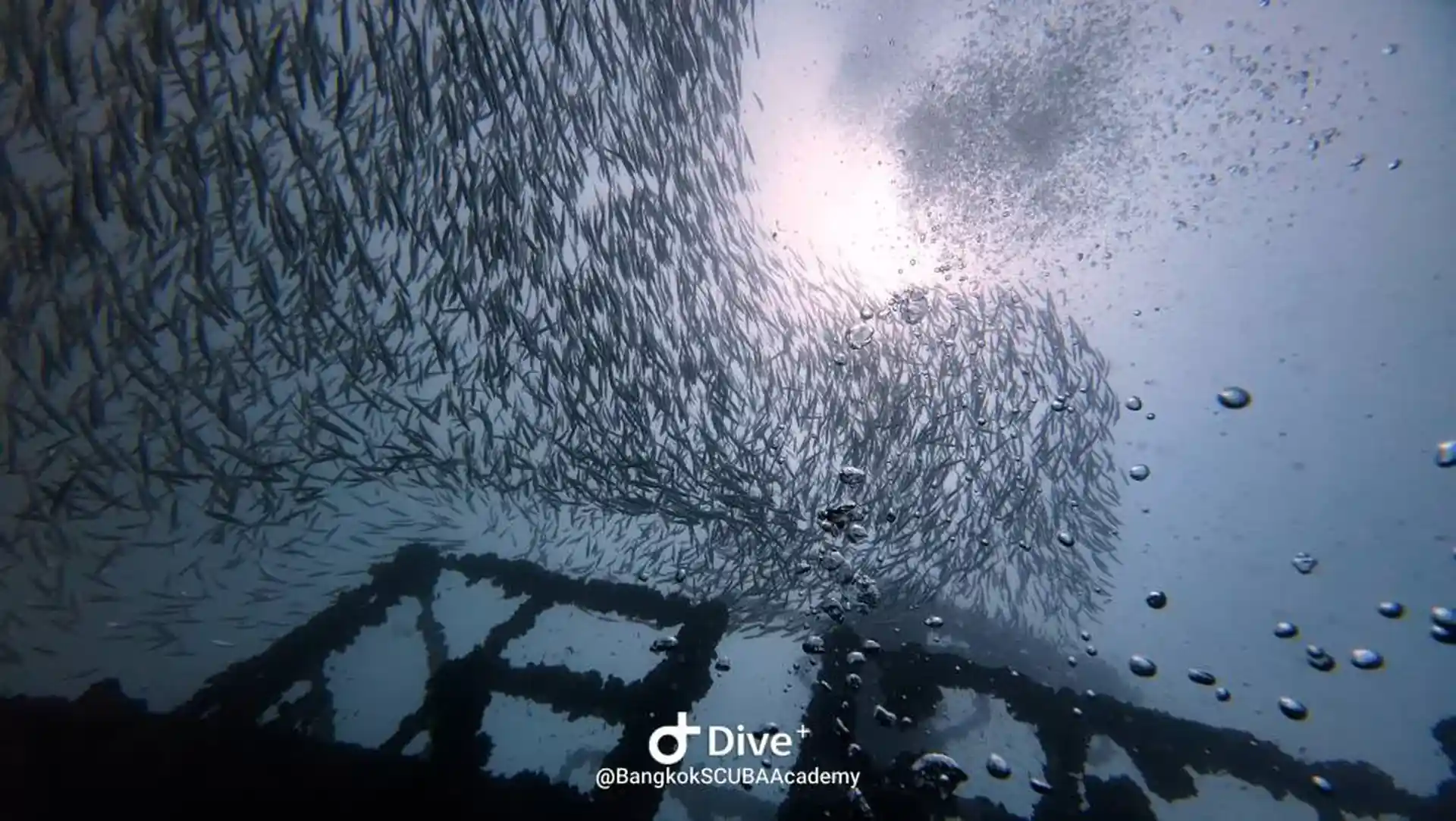 Foto de la actividad