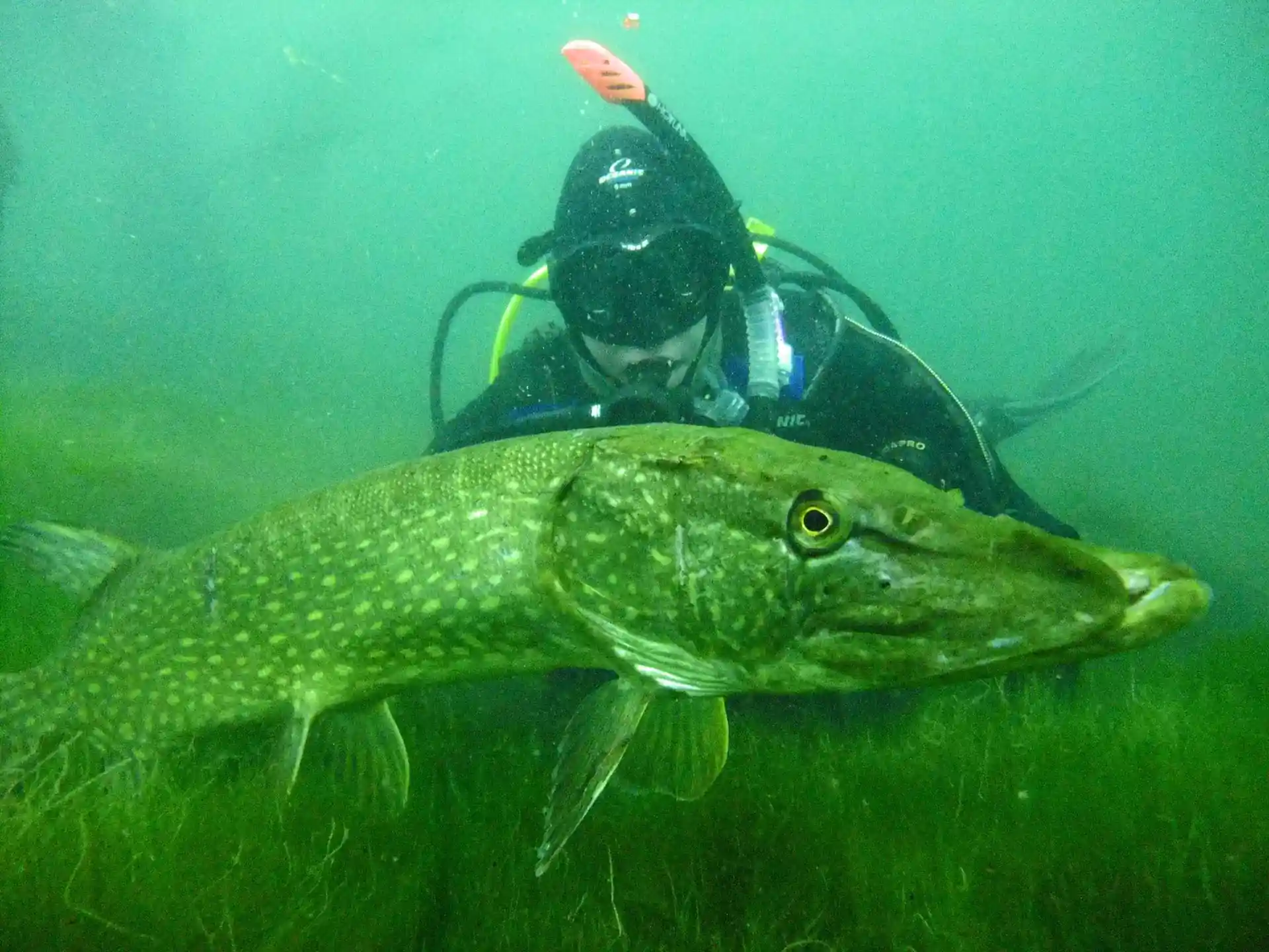 Foto de la actividad