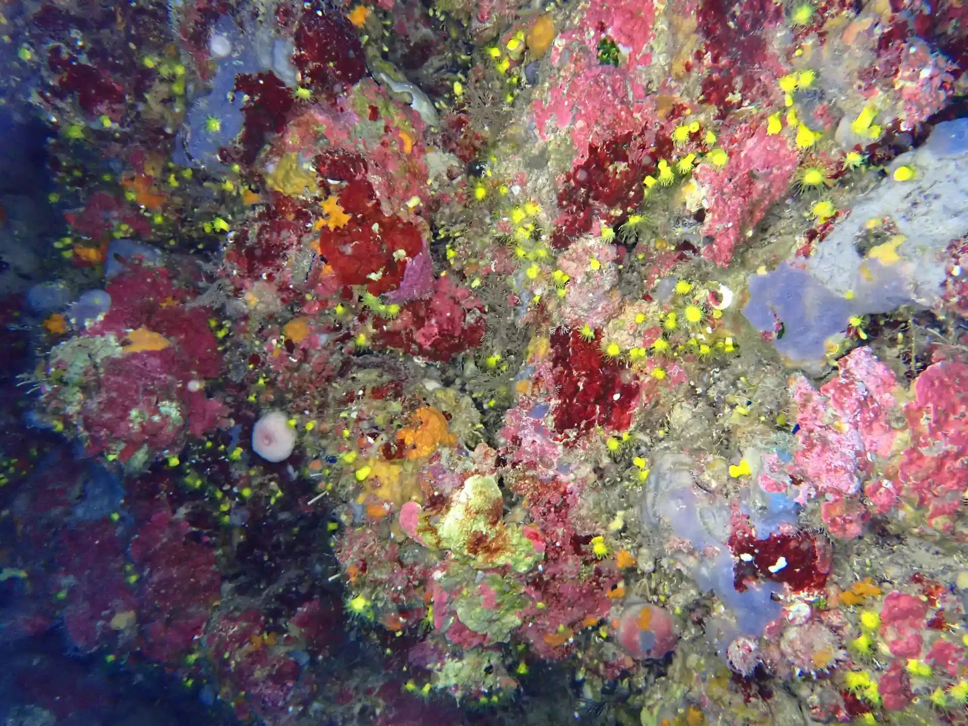 潜水点图片