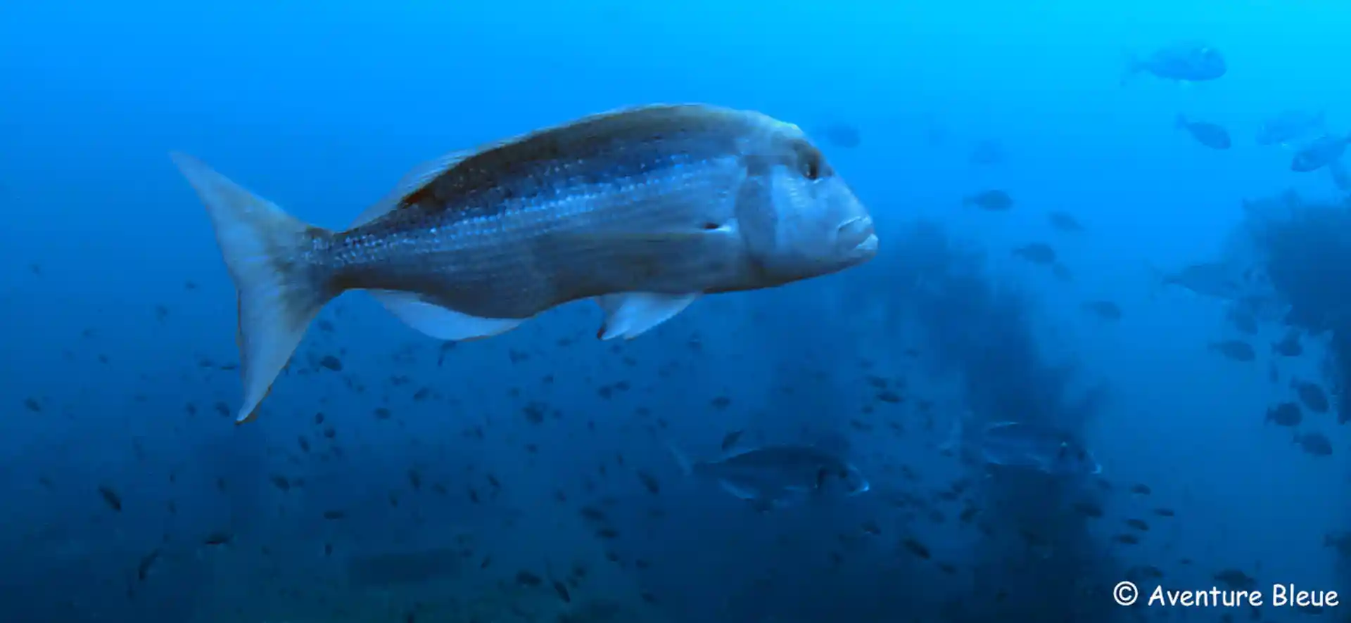 Foto des Tauchplatzes