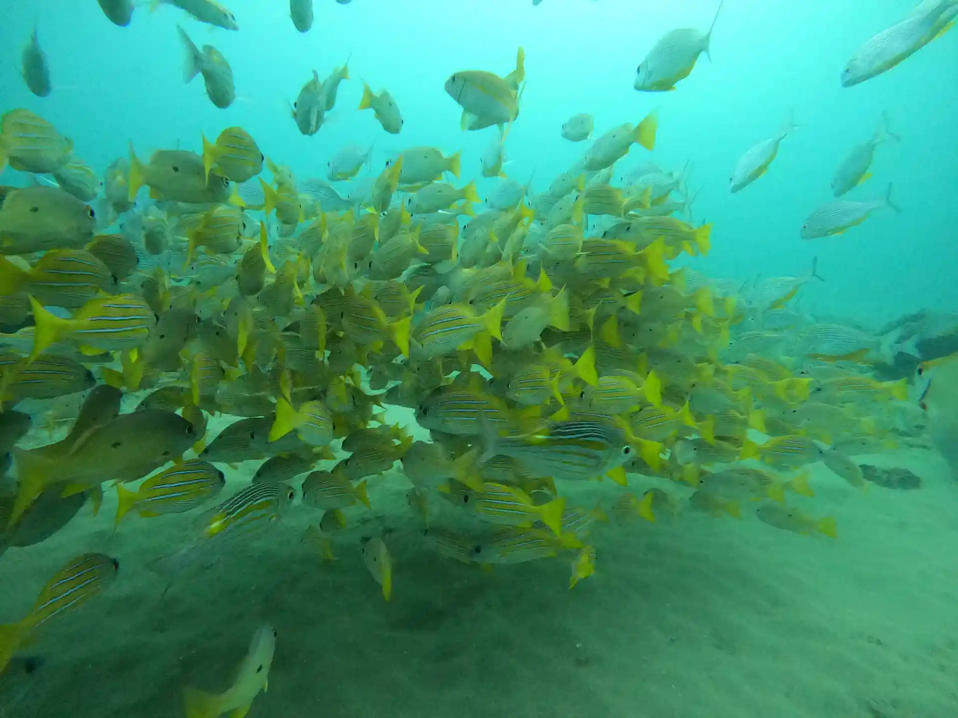 다이빙 포인트 사진