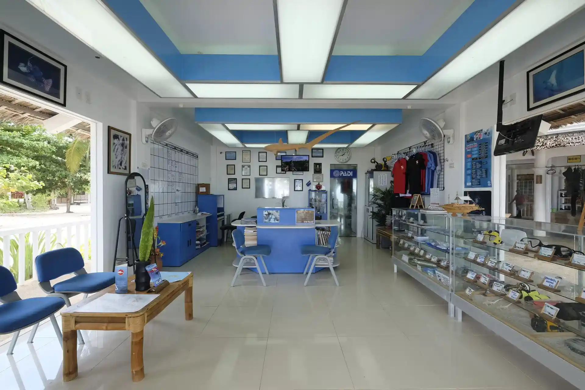 Foto de la actividad