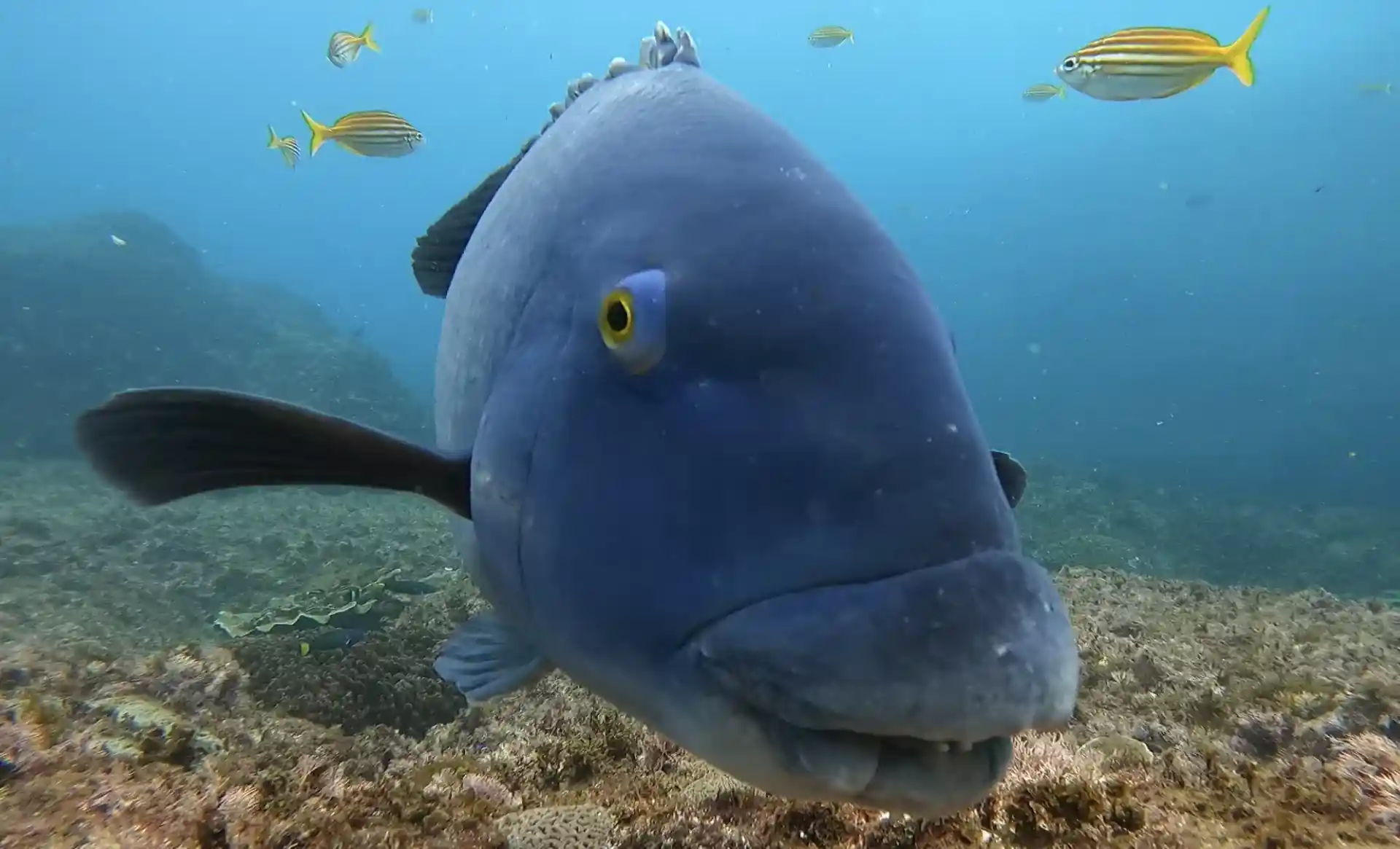 다이빙 포인트 사진