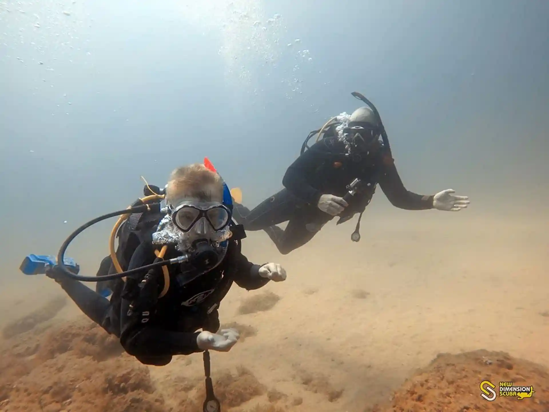 Dad and Son Buddy Qualifying Dive