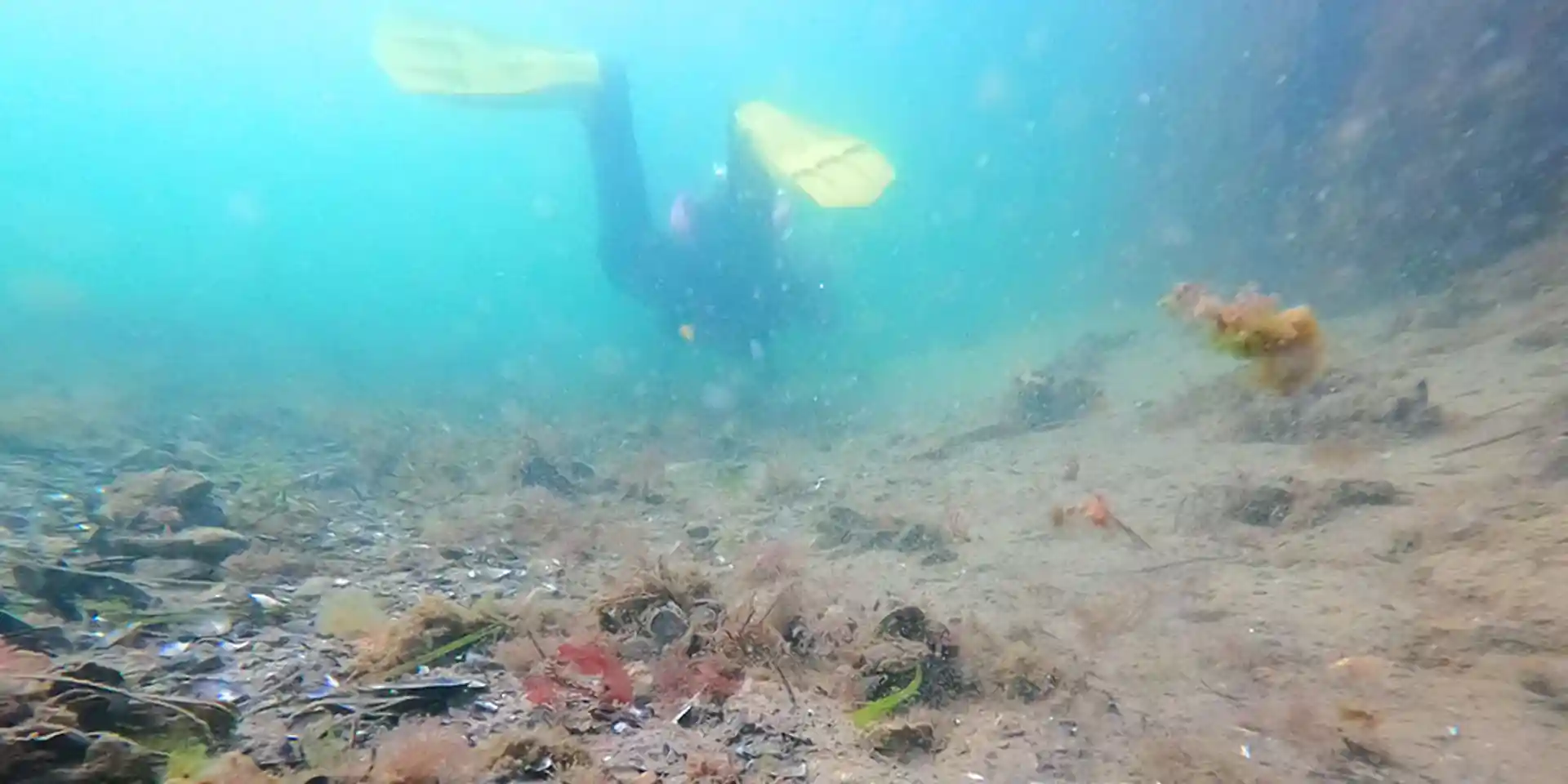 Dive site photo