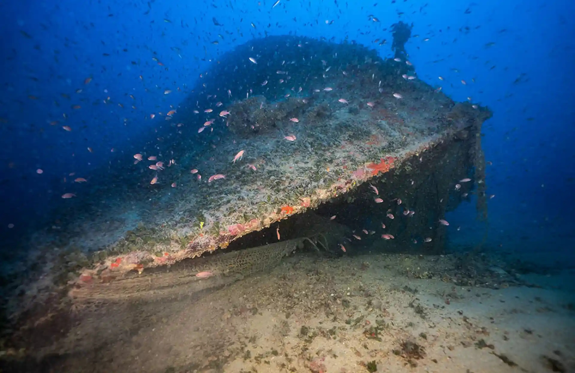 Dive site photo