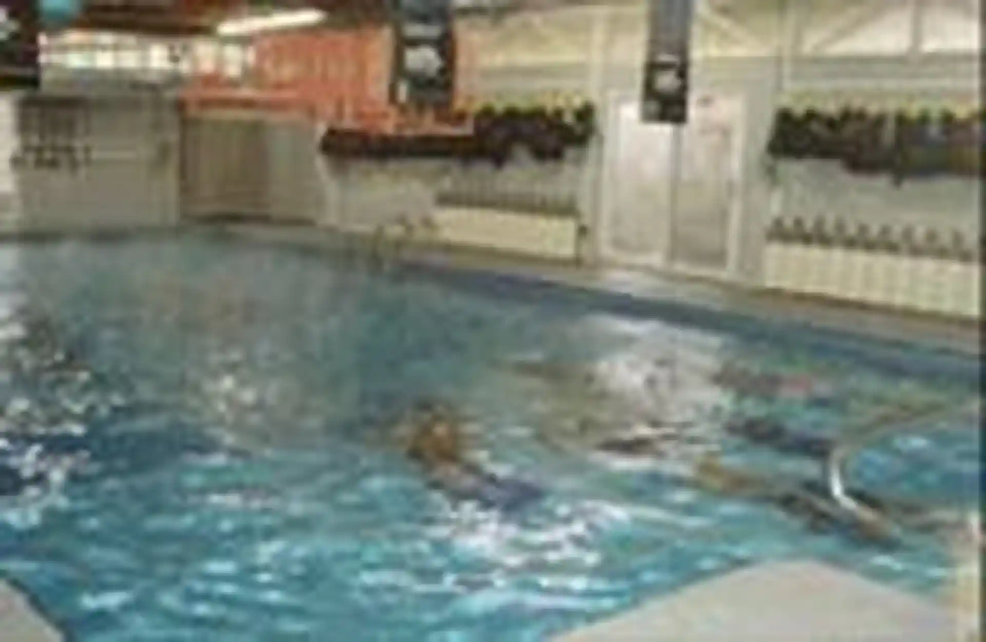 Dive shop photo