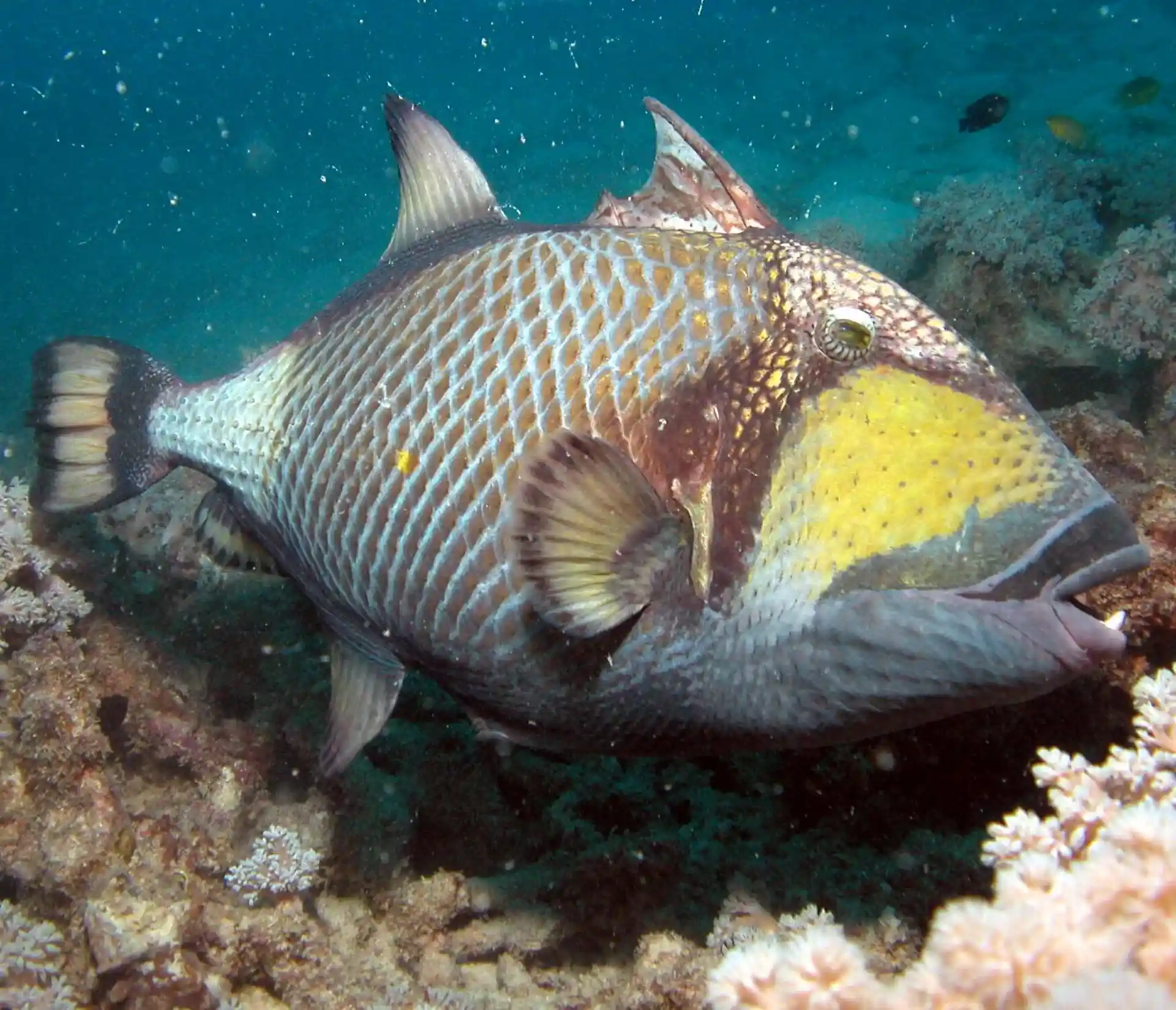 Dive site photo