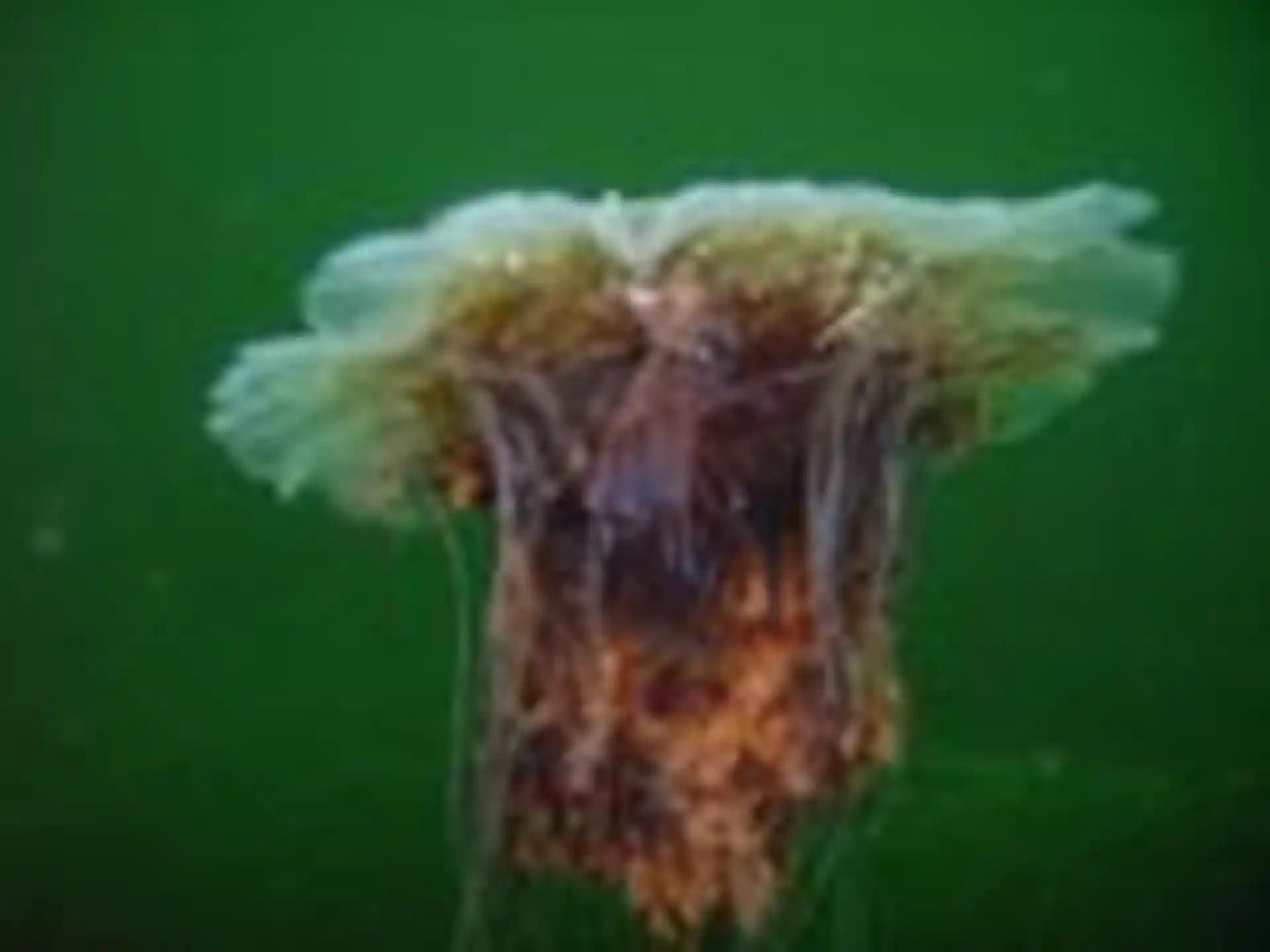 Dive shop photo