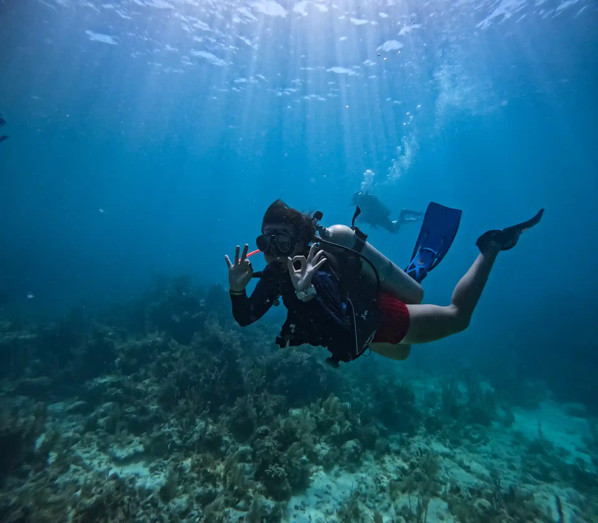 Foto de la actividad