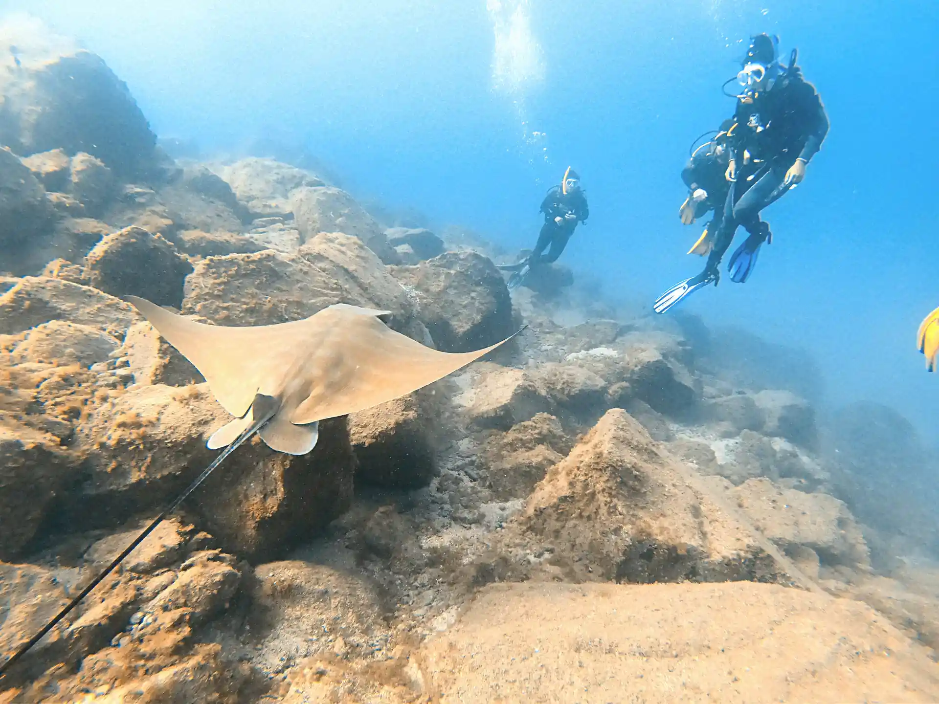 Photo de l'activité