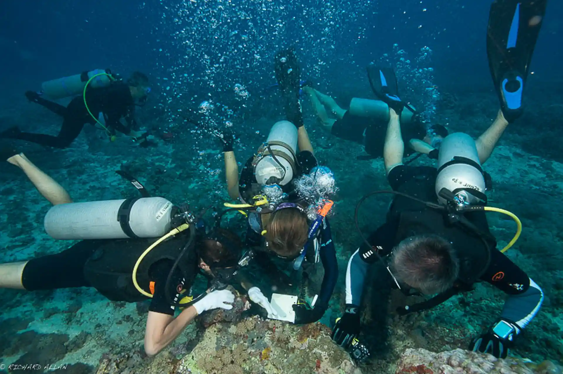 底物鉴定和珊瑚观察调查