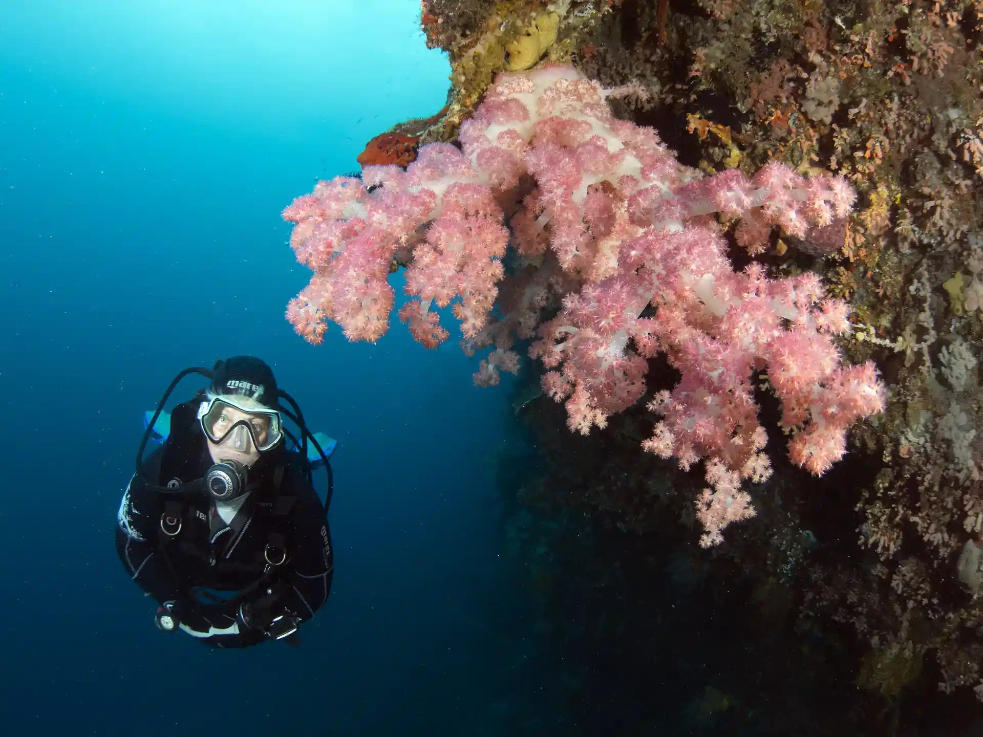 Dive site photo