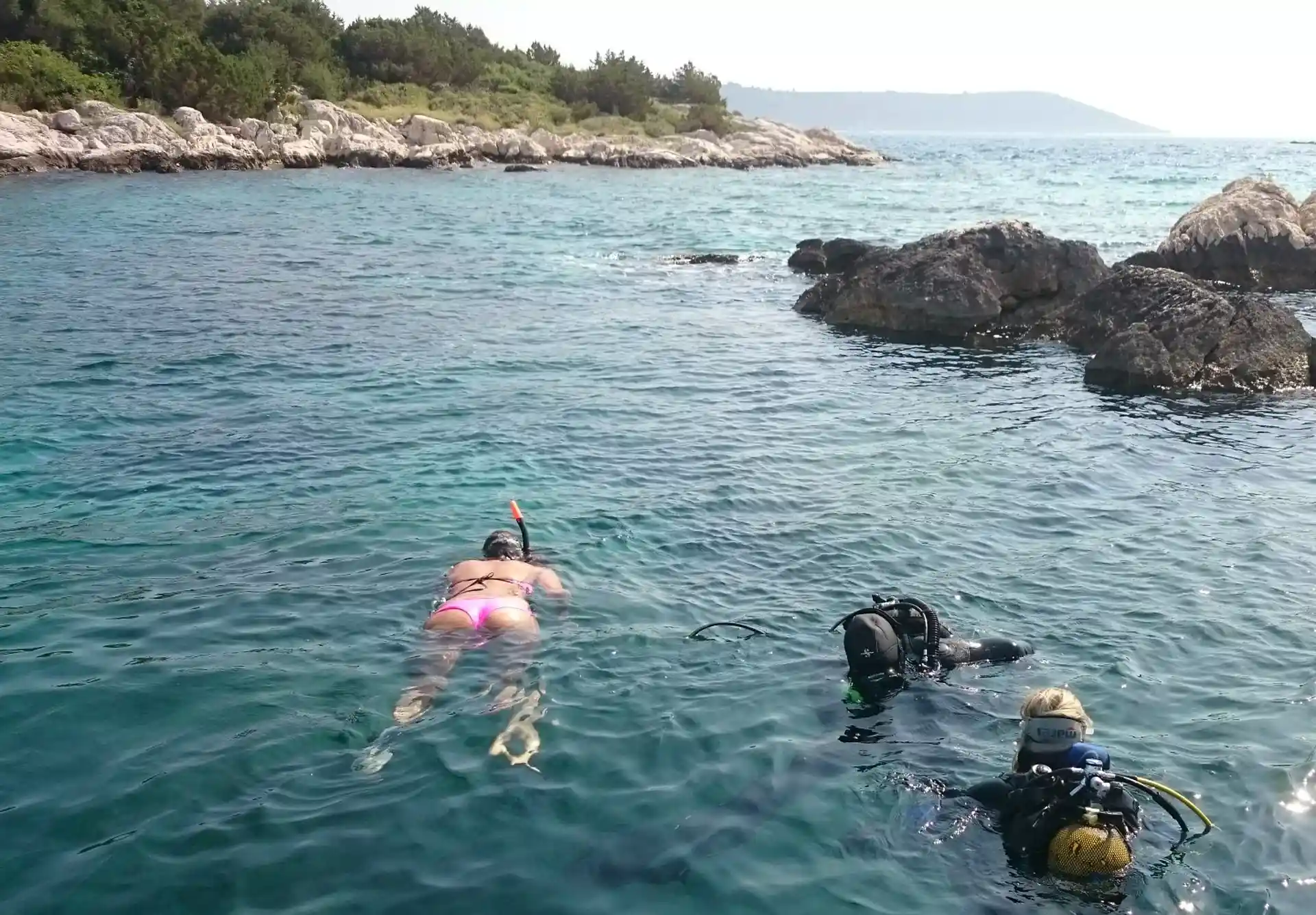 ダイビングサイトの写真