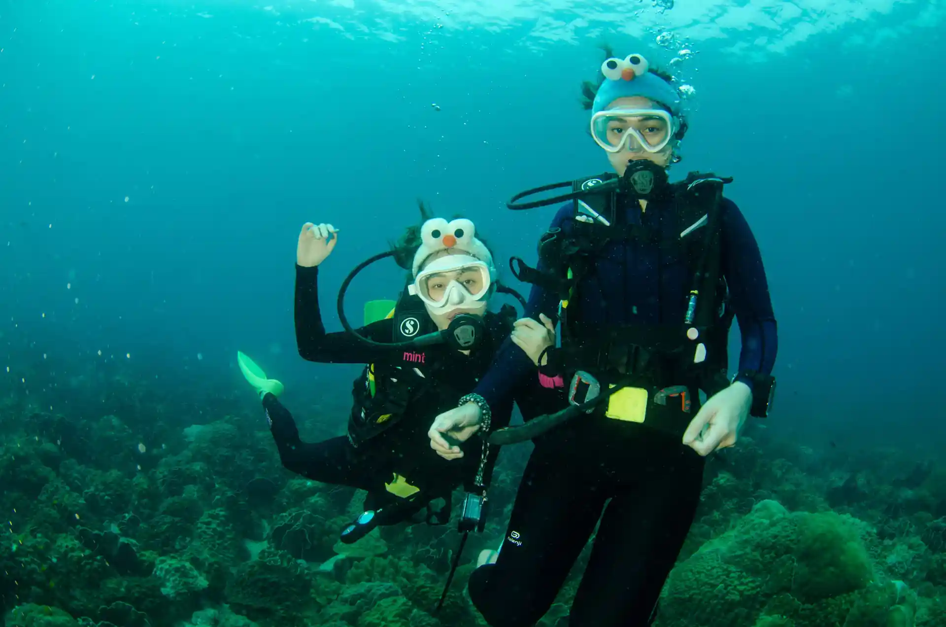 3 jours de formation et vous serez un plongeur certifié