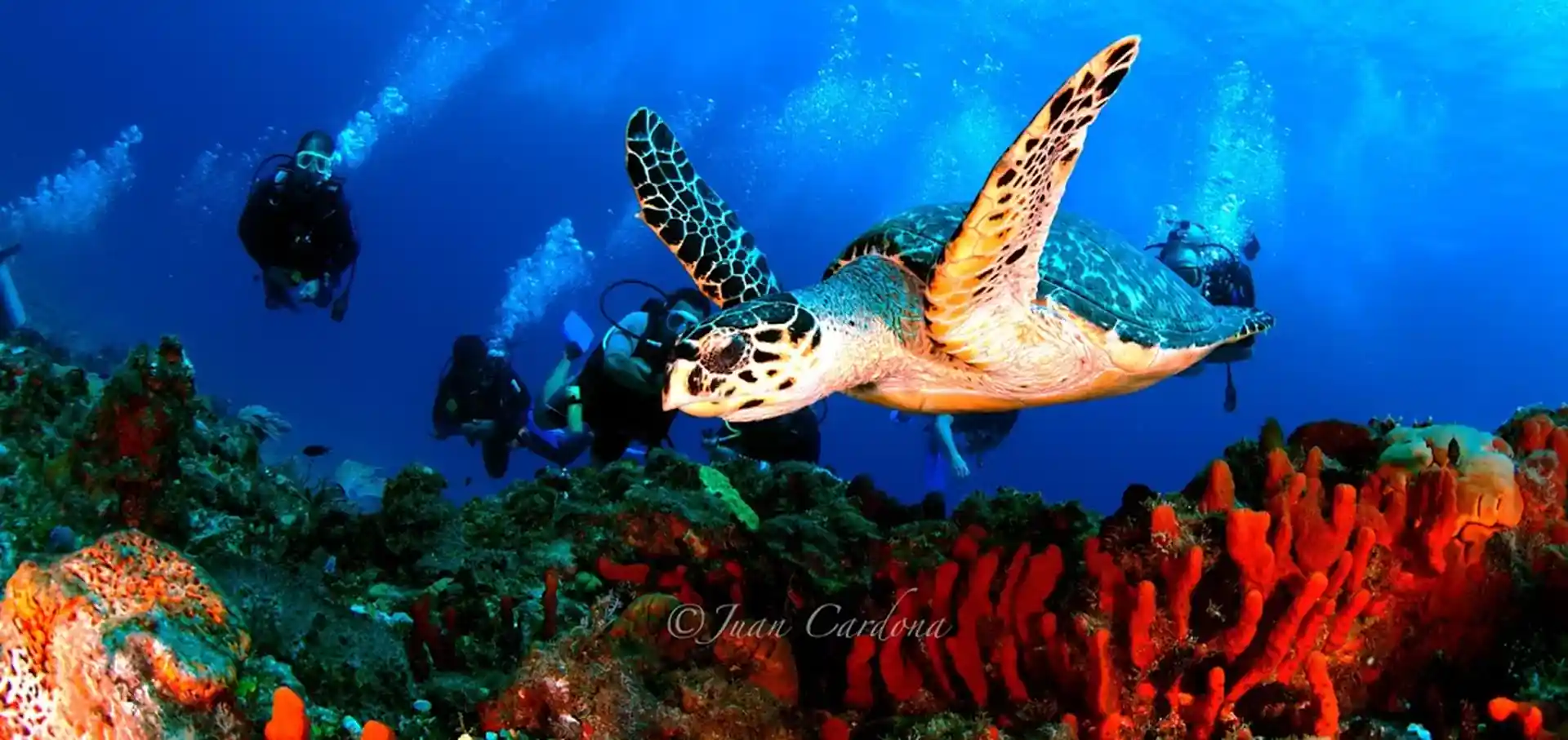 Foto de la tienda de buceo