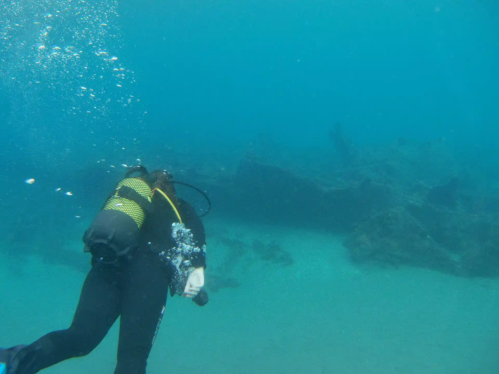 ダイビングサイトの写真