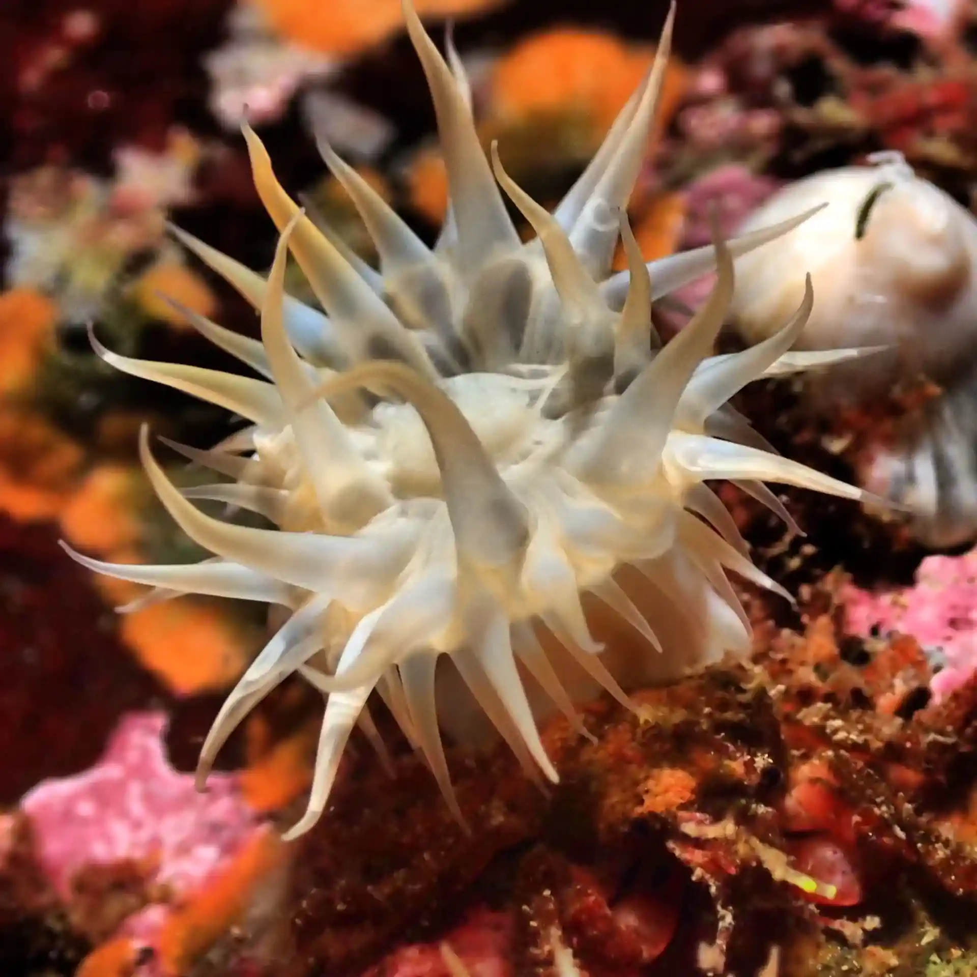 다이빙 포인트 사진