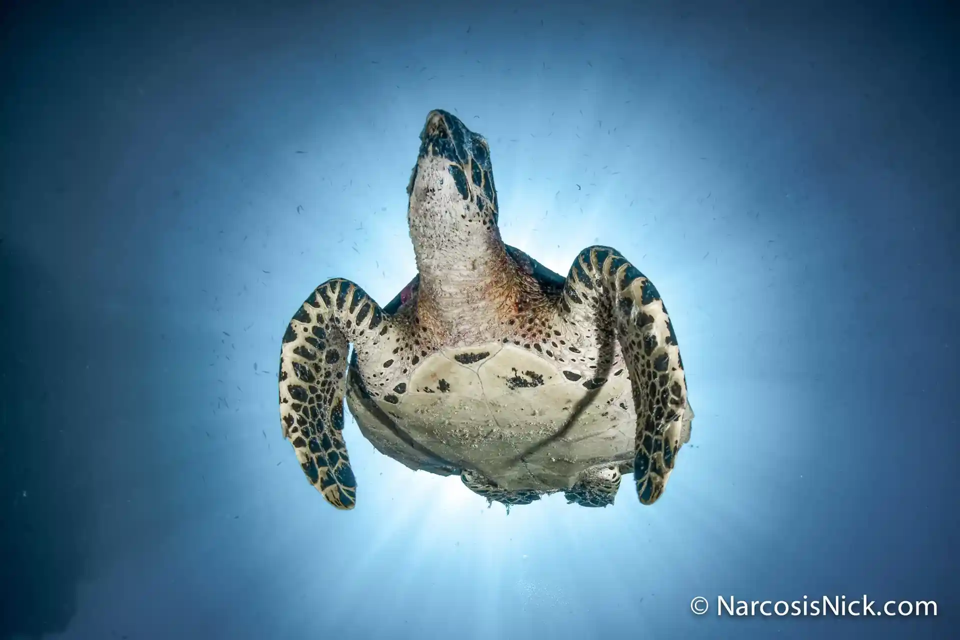 다이빙 포인트 사진