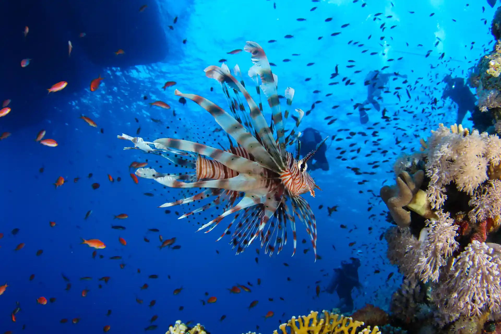 Foto de la actividad