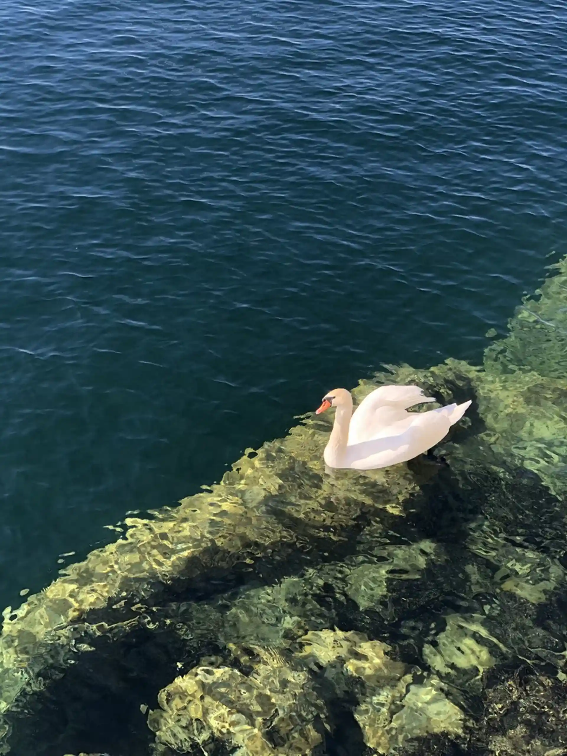 Dive site photo