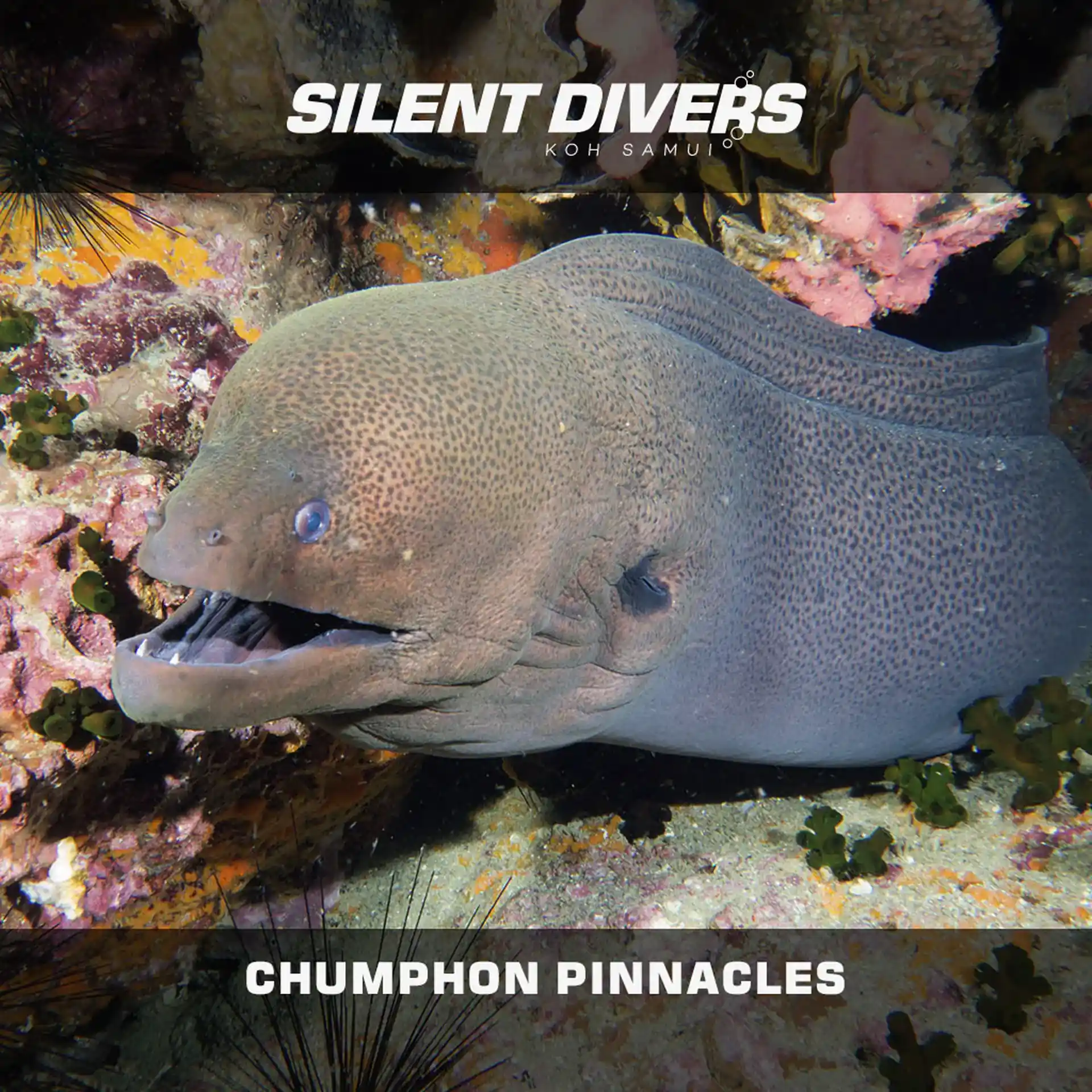 Foto de la actividad