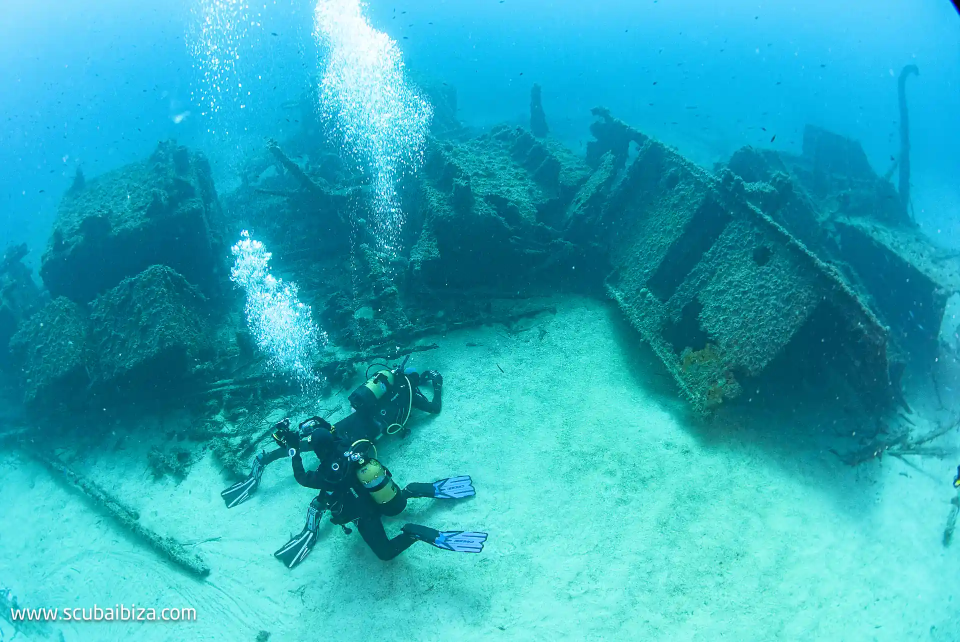 Foto de la actividad