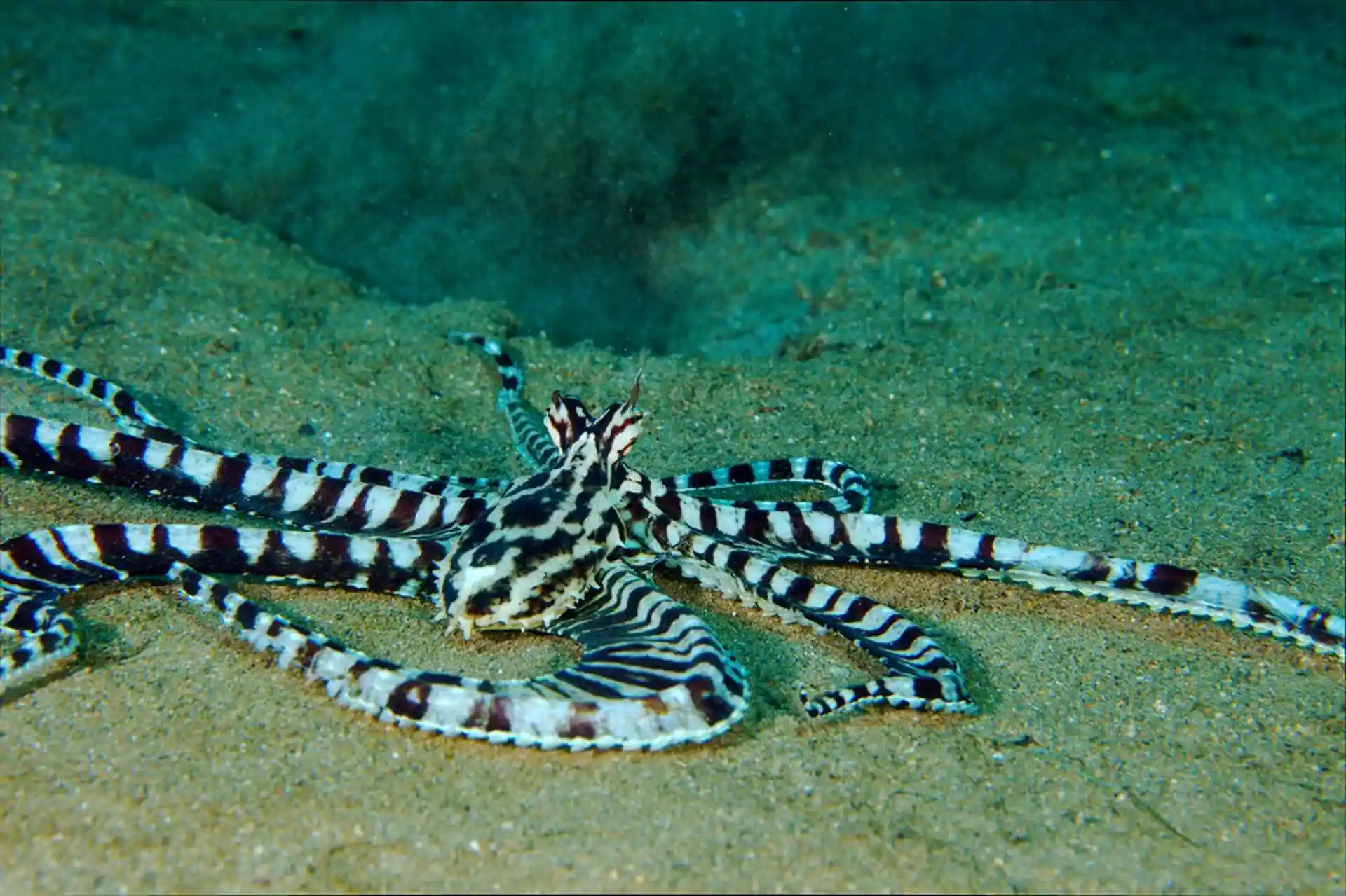 Dive site photo