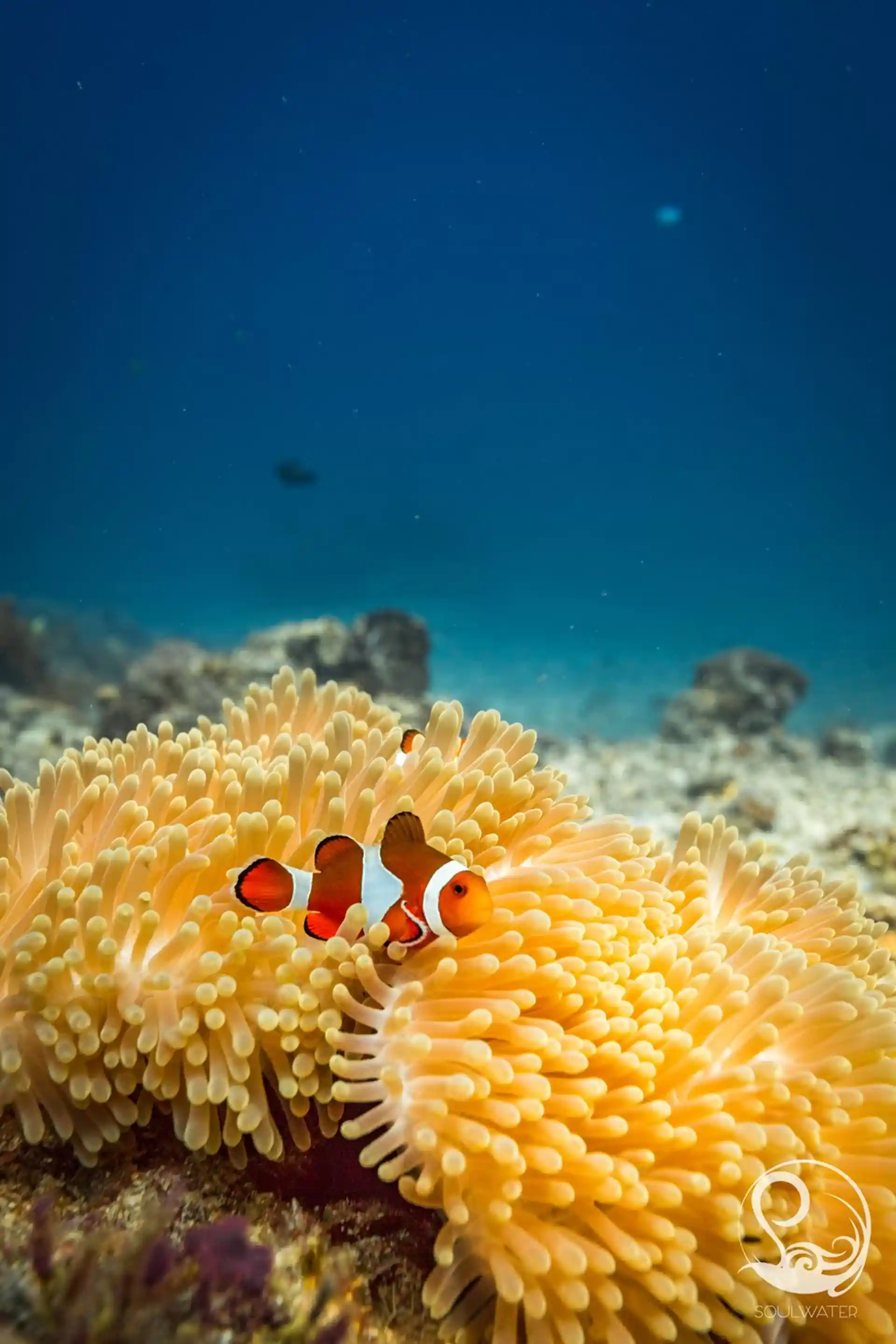 Dive site photo