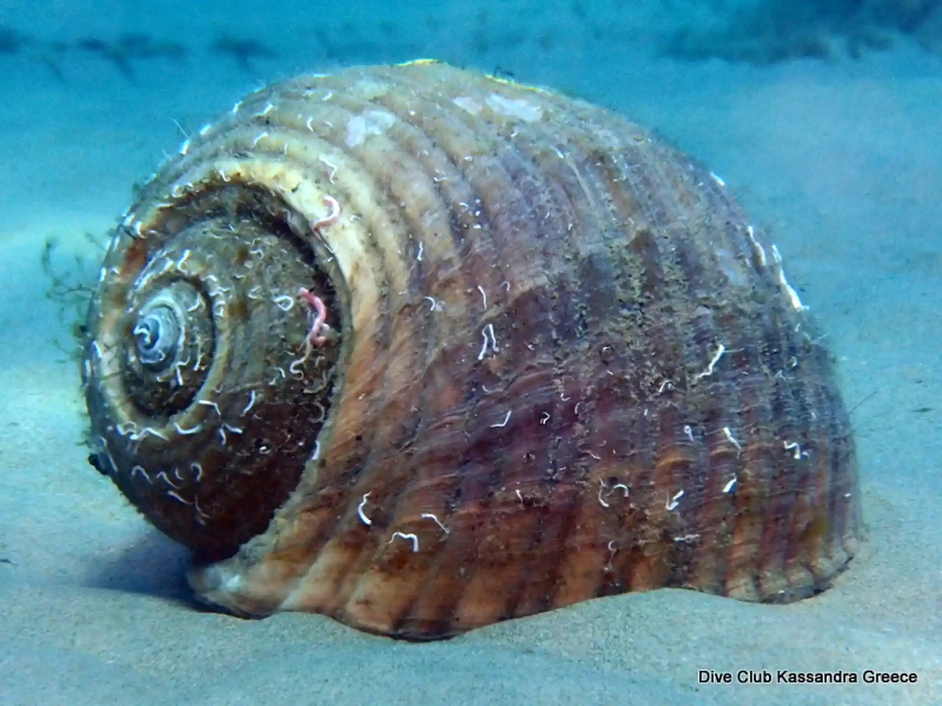 Foto des Tauchplatzes