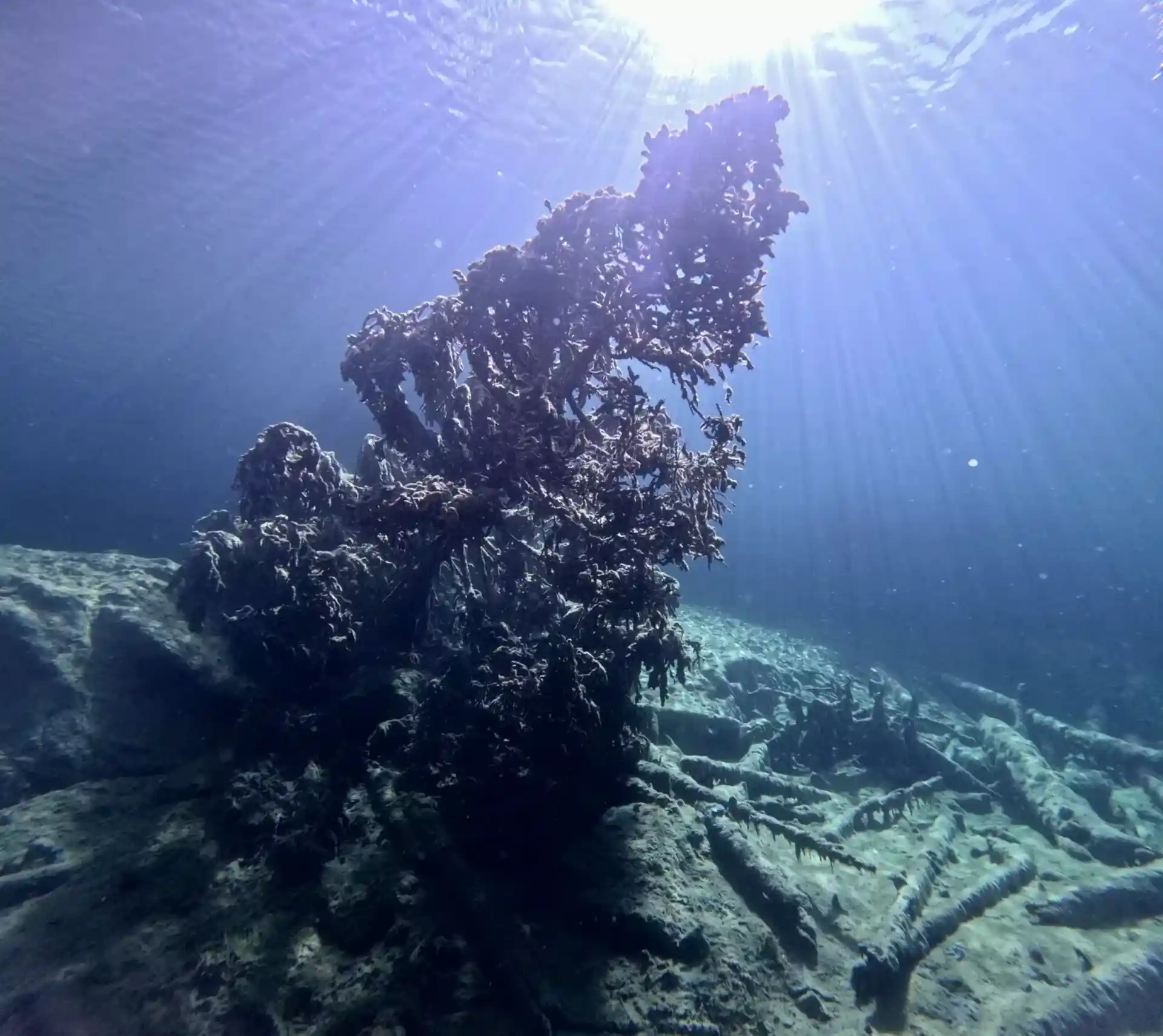 Foto des Tauchplatzes