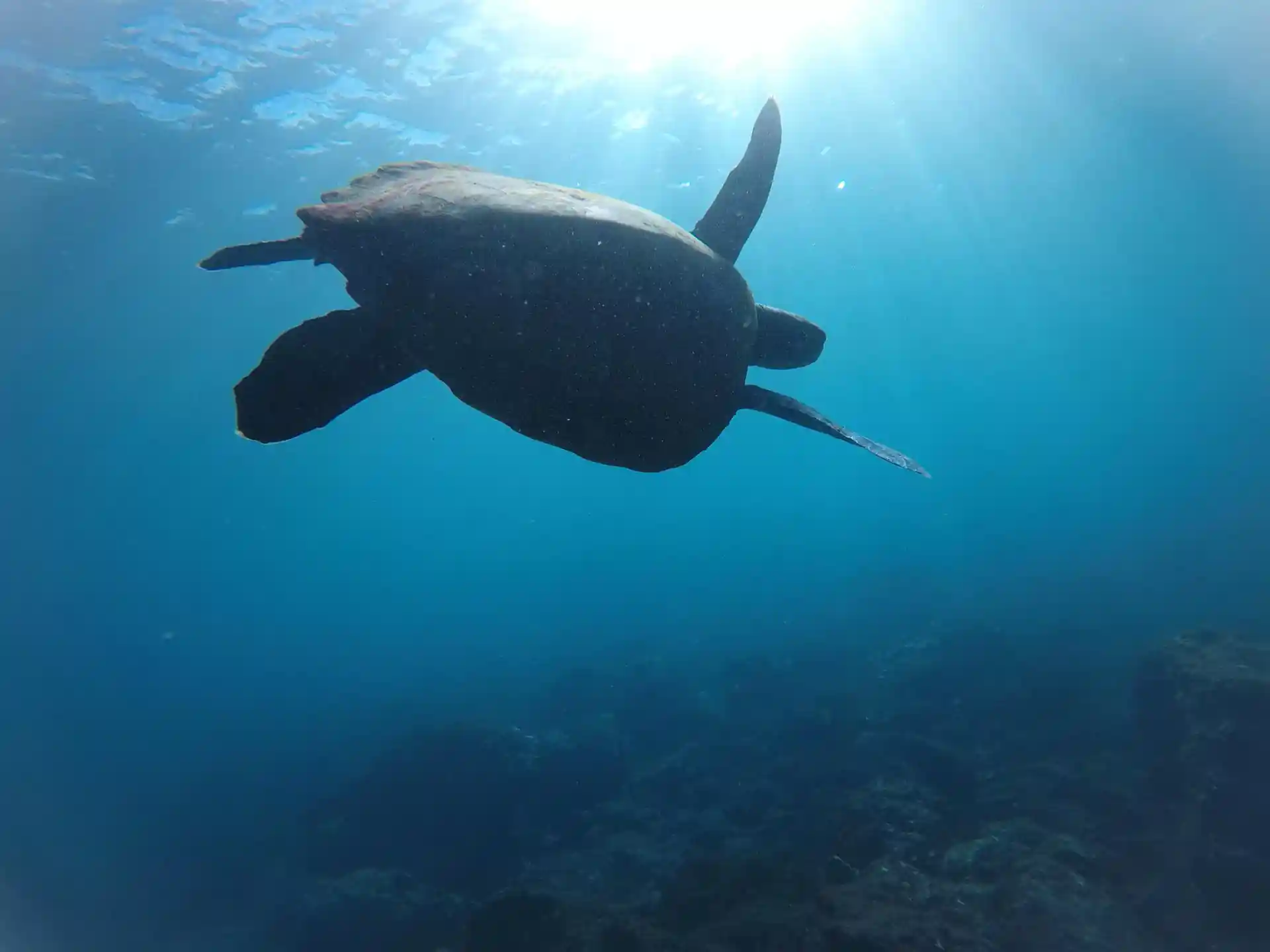 Dive site photo