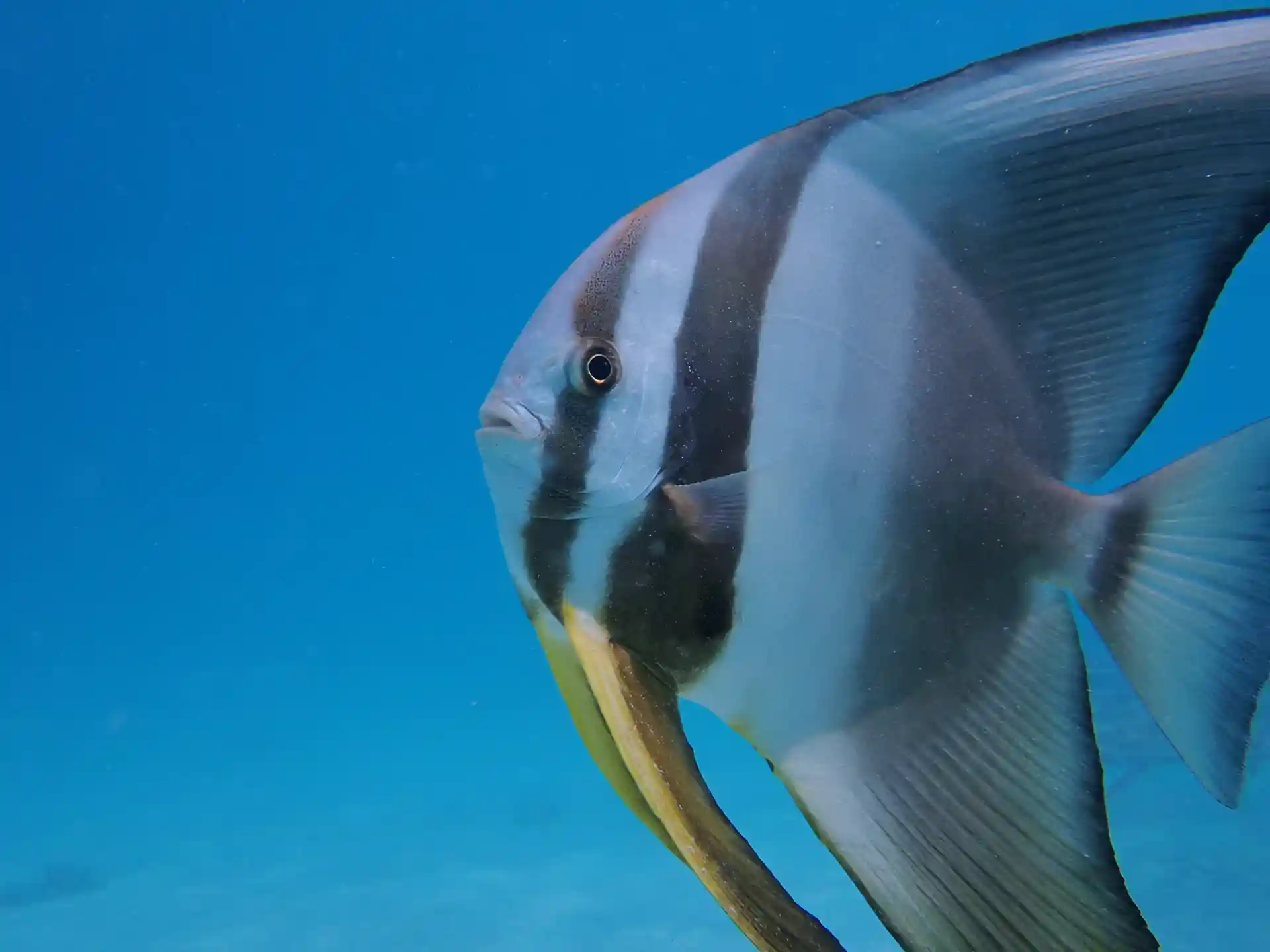 Foto de la actividad