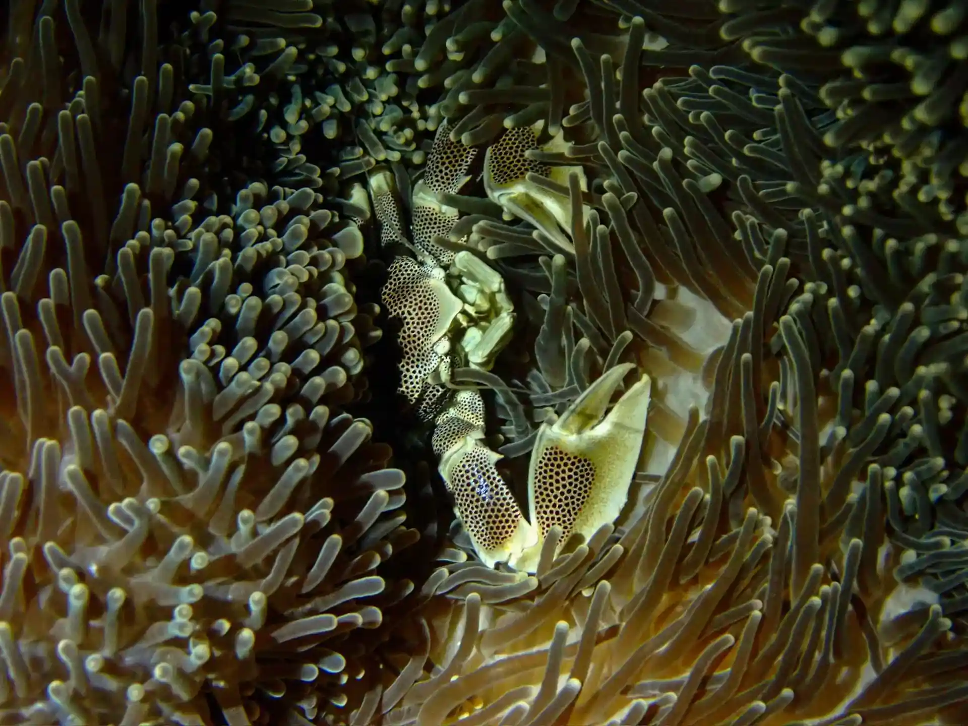 Dive site photo