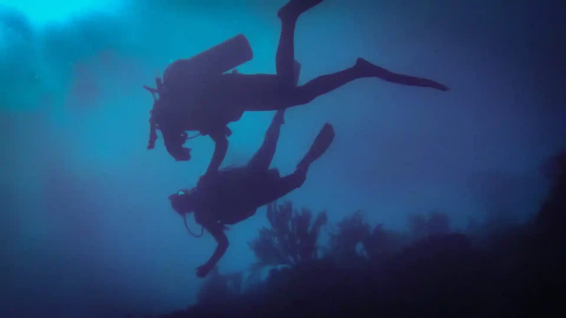 Foto de la tienda de buceo